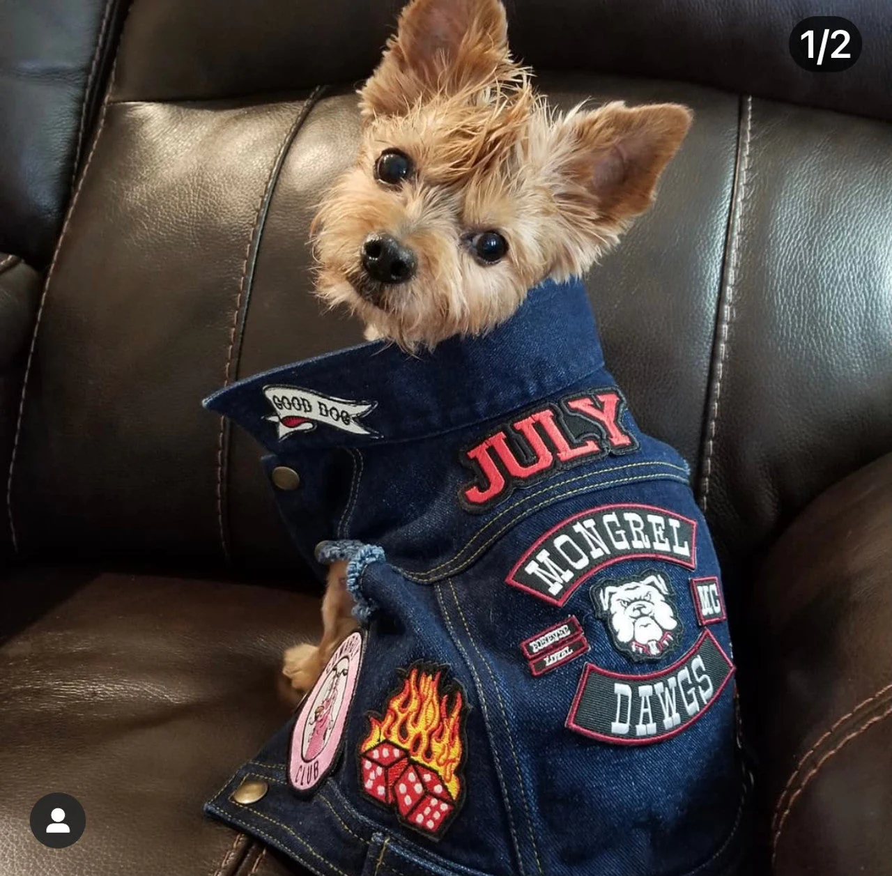 Mongrel Dawgs MC Denim Jacket - Image 11