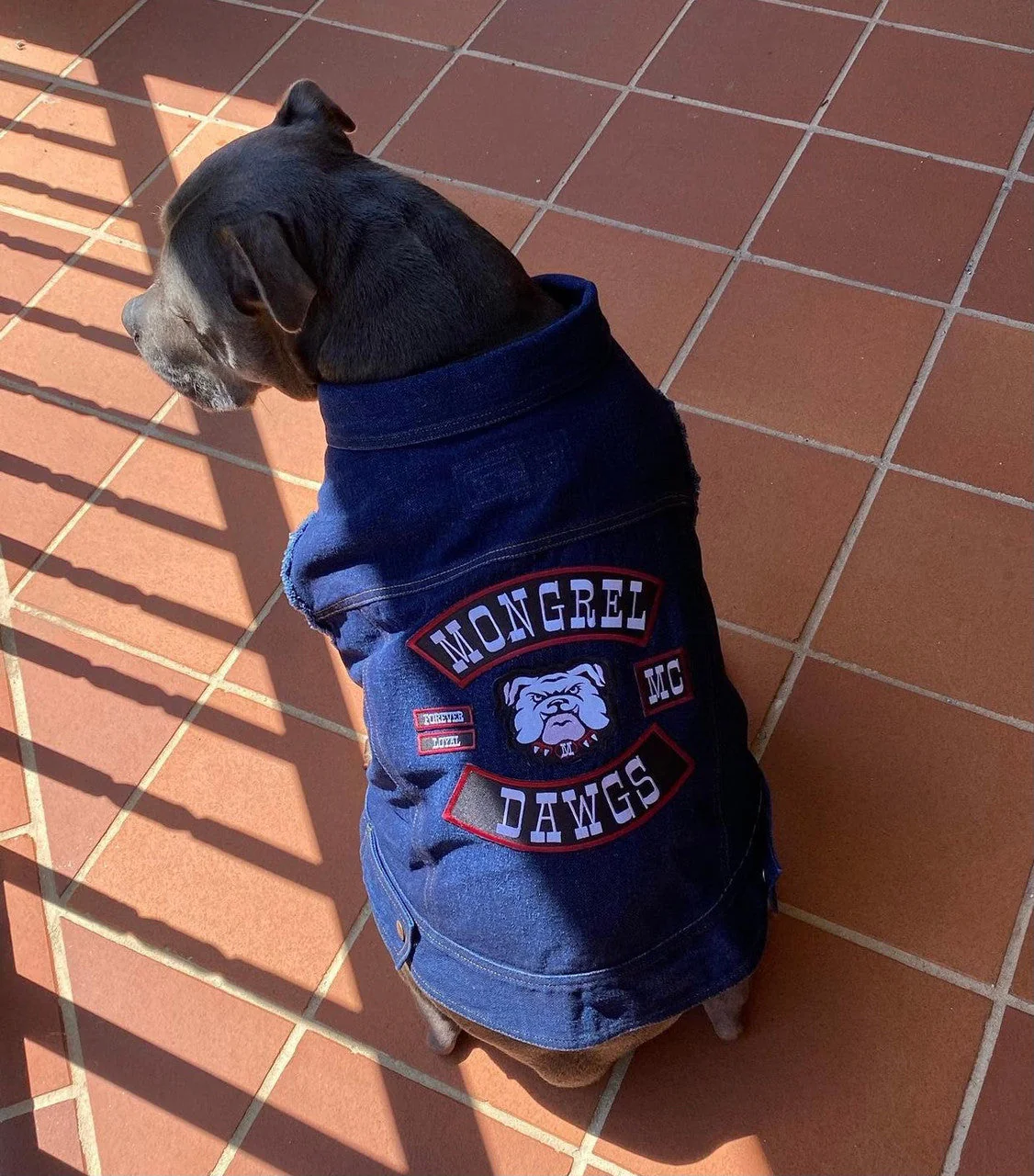 Mongrel Dawgs MC Denim Jacket - Image 13