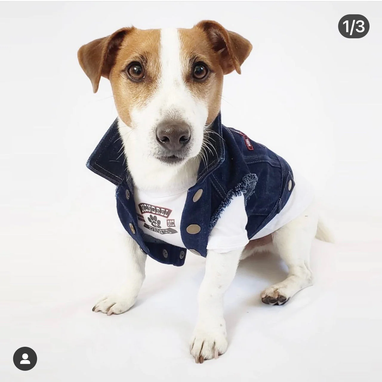 Mongrel Dawgs MC Denim Jacket - Image 4