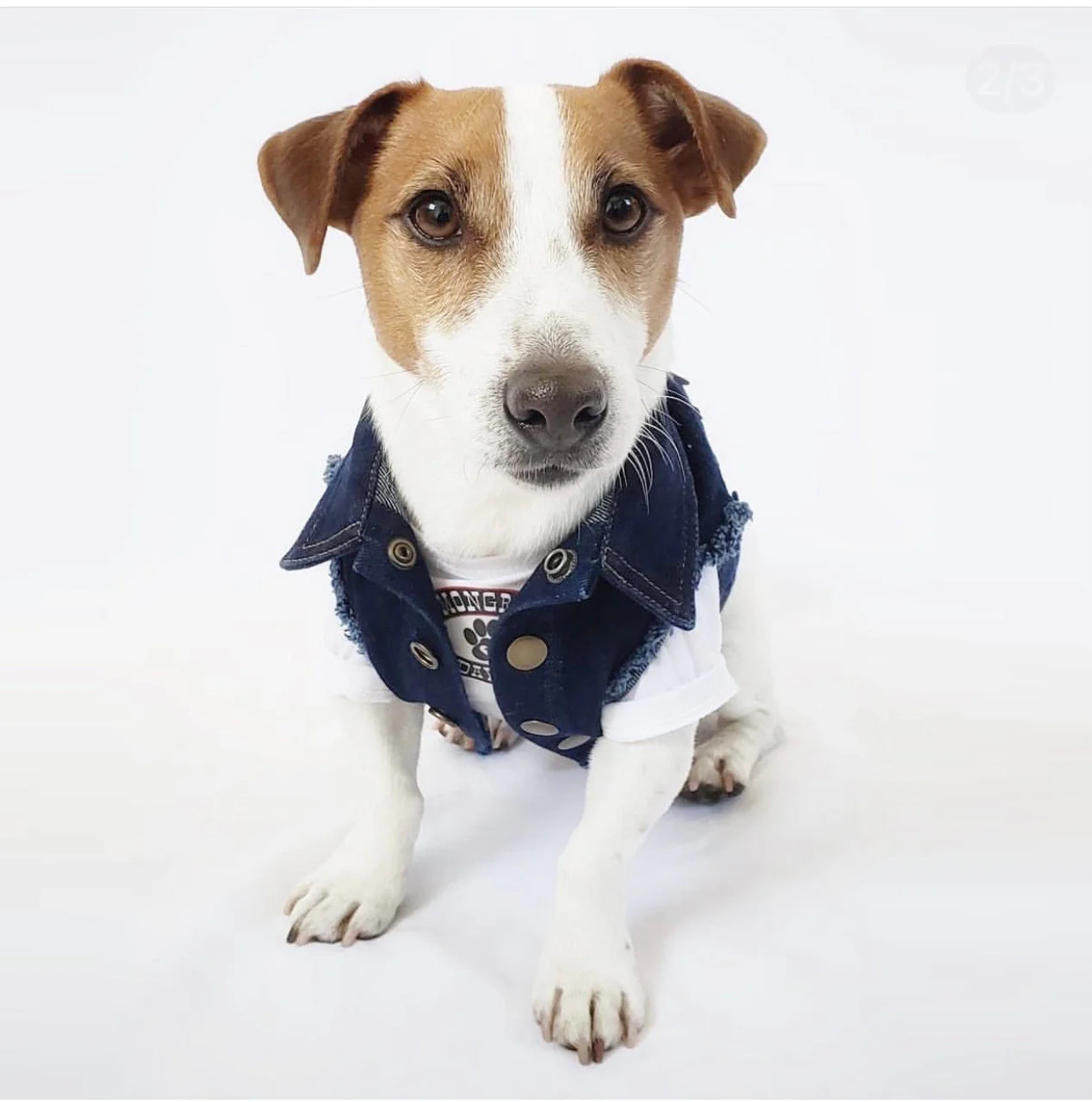 Mongrel Dawgs MC Denim Jacket - Image 5