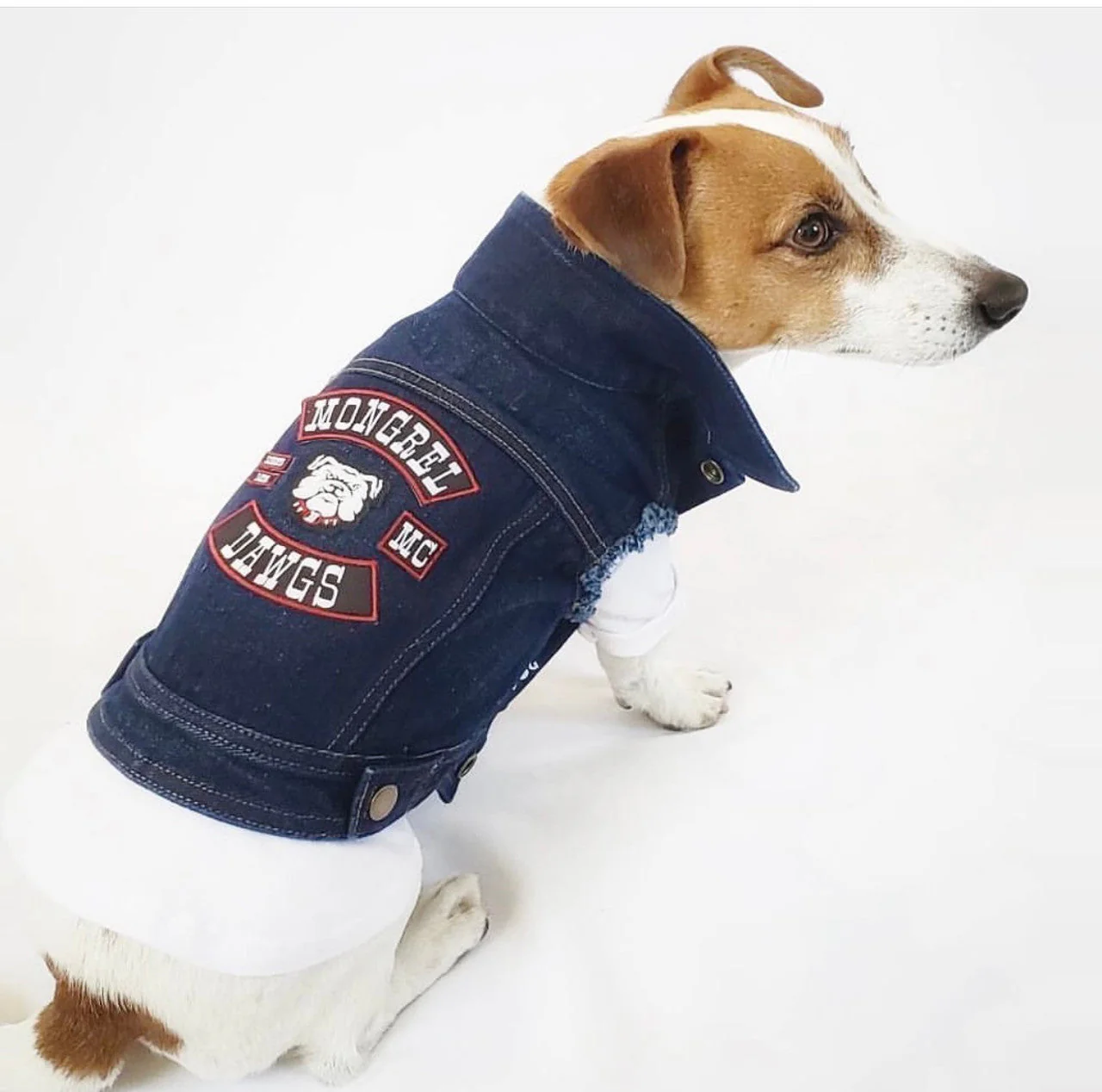 Mongrel Dawgs MC Denim Jacket - Image 6