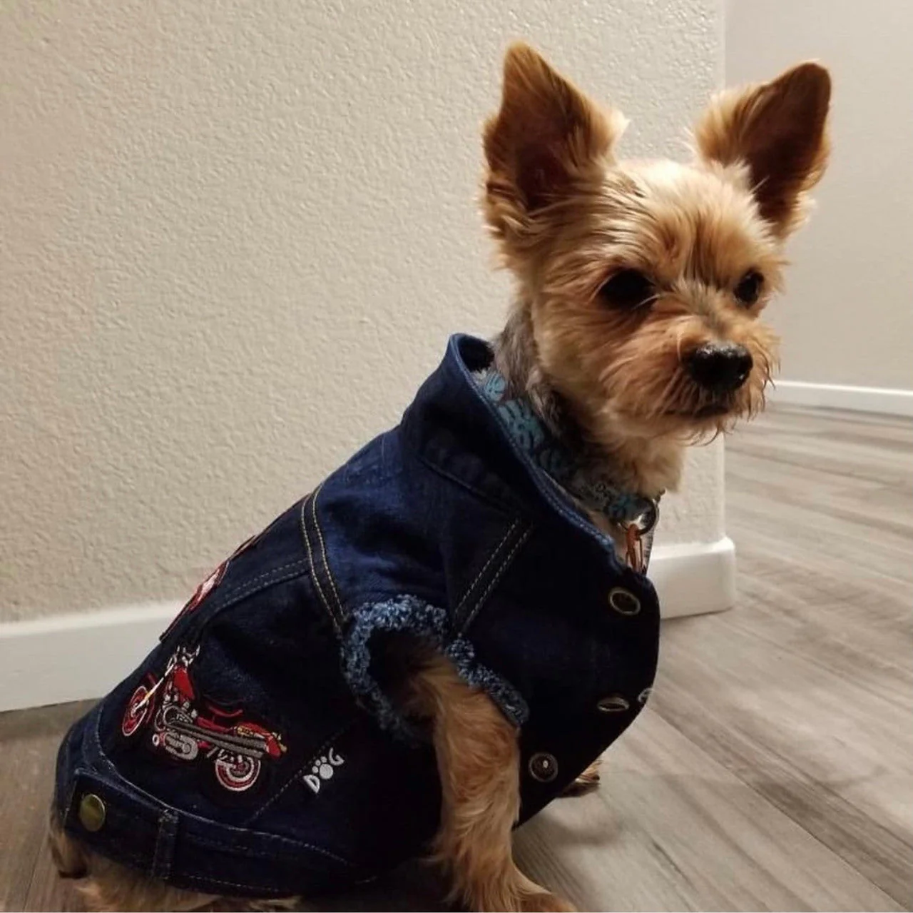 Mongrel Dawgs MC Denim Jacket - Image 8