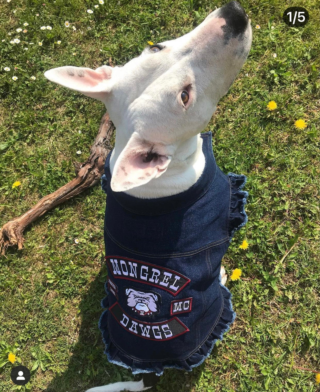 Mongrel Dawgs MC - Denim Jacket with Ruffles - Image 13