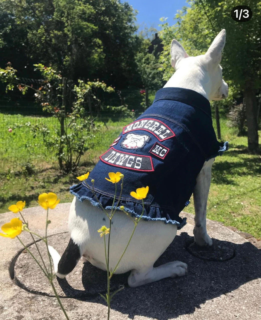 Mongrel Dawgs MC - Denim Jacket with Ruffles - Image 6