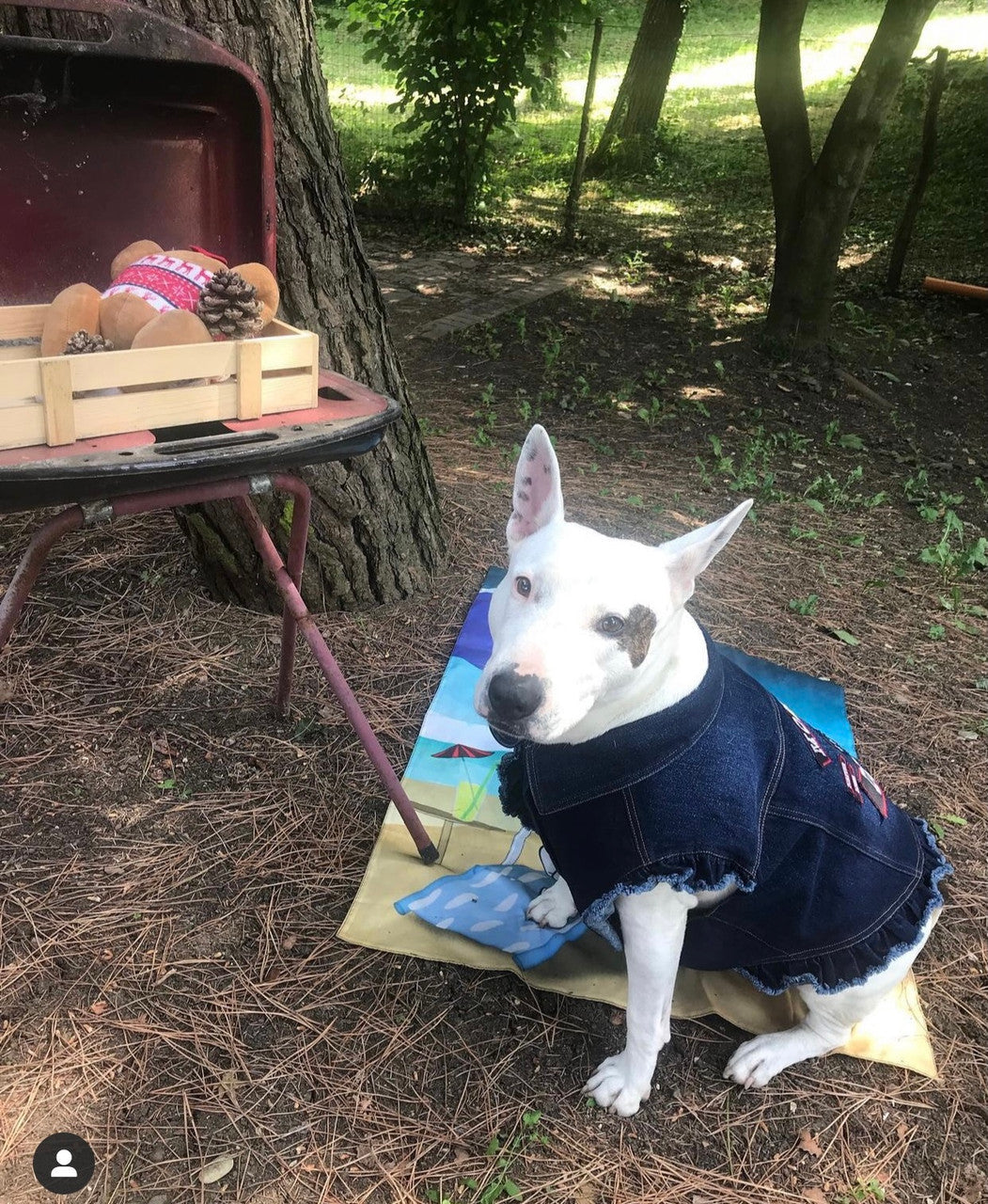 Mongrel Dawgs MC - Denim Jacket with Ruffles - Image 8