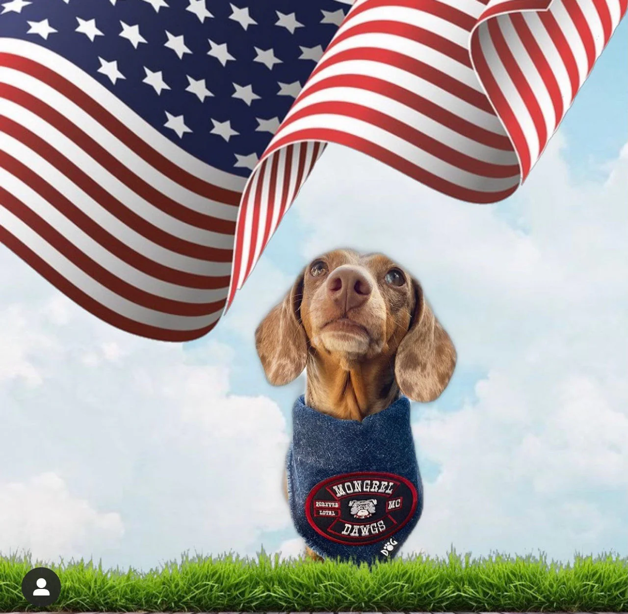 Mongrel Dawgs MC Logo Denim Bandanna - Image 11