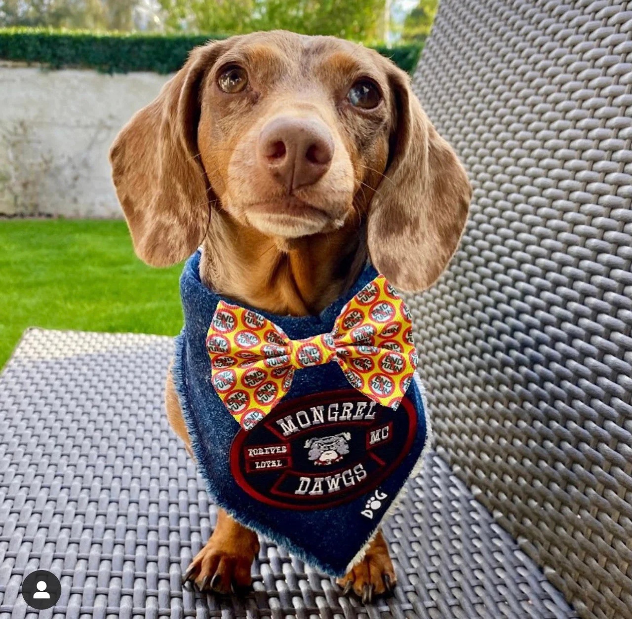 Mongrel Dawgs MC Logo Denim Bandanna - Image 16