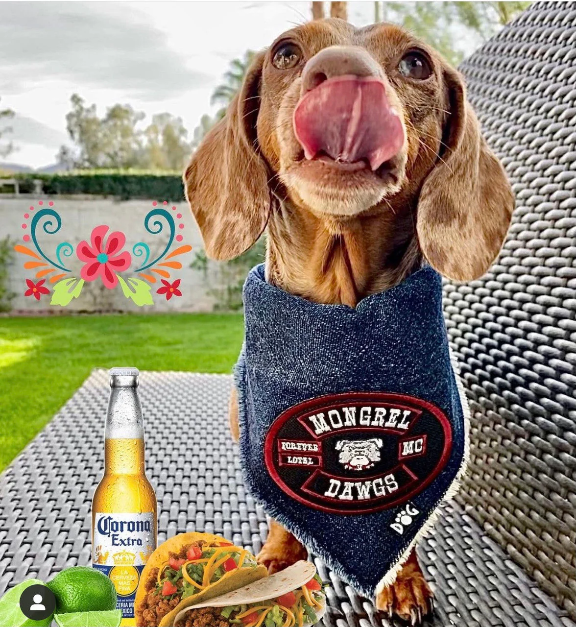 Mongrel Dawgs MC Logo Denim Bandanna - Image 19