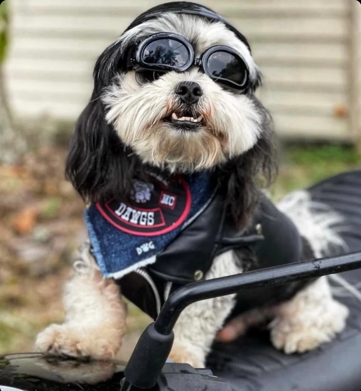 Mongrel Dawgs MC Logo Denim Bandanna - Image 21