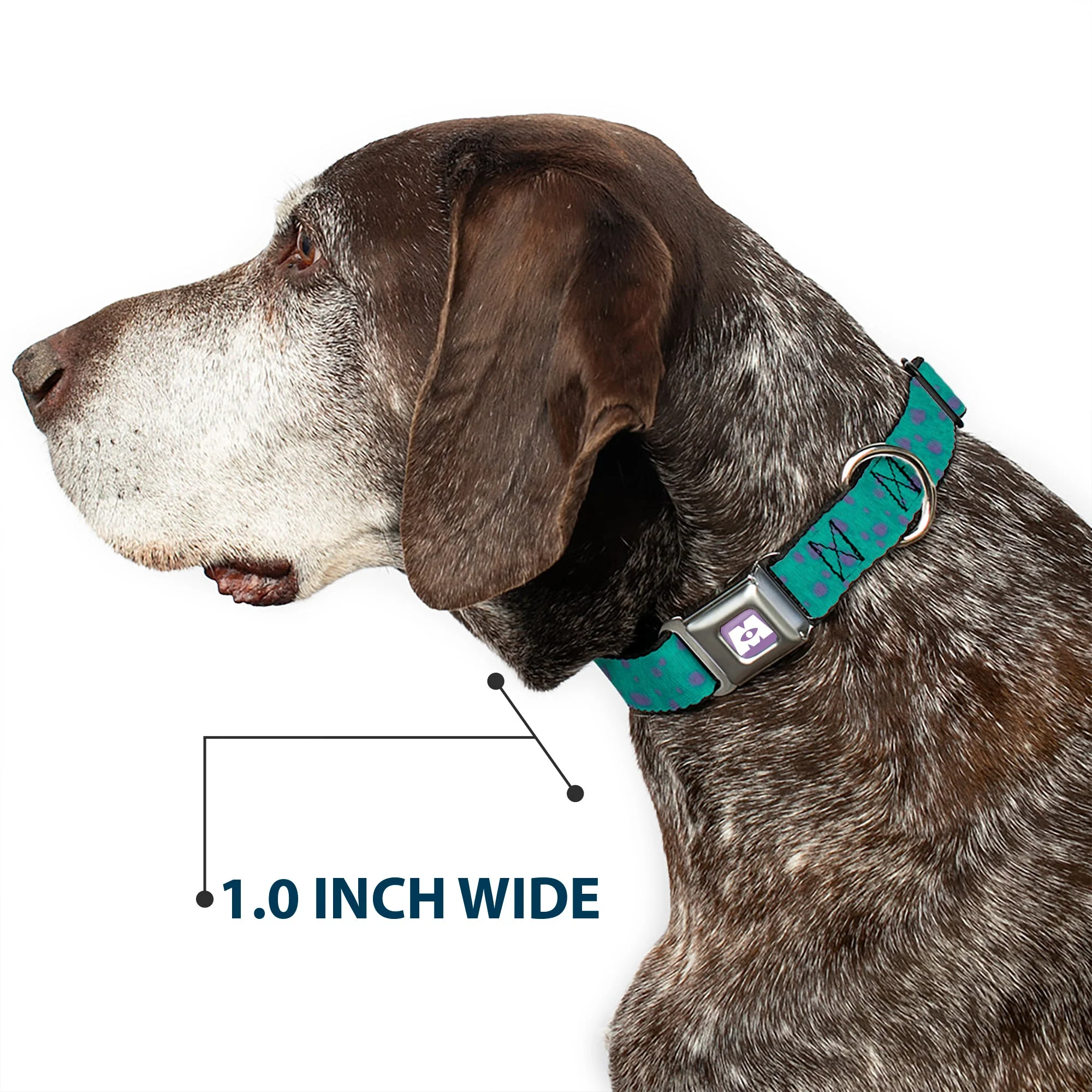 Monsters Inc. Icon Full Color Purple/White Seatbelt Buckle Collar - Monsters Inc. Sulley Bounding Spots Blue/Purple - Image 6