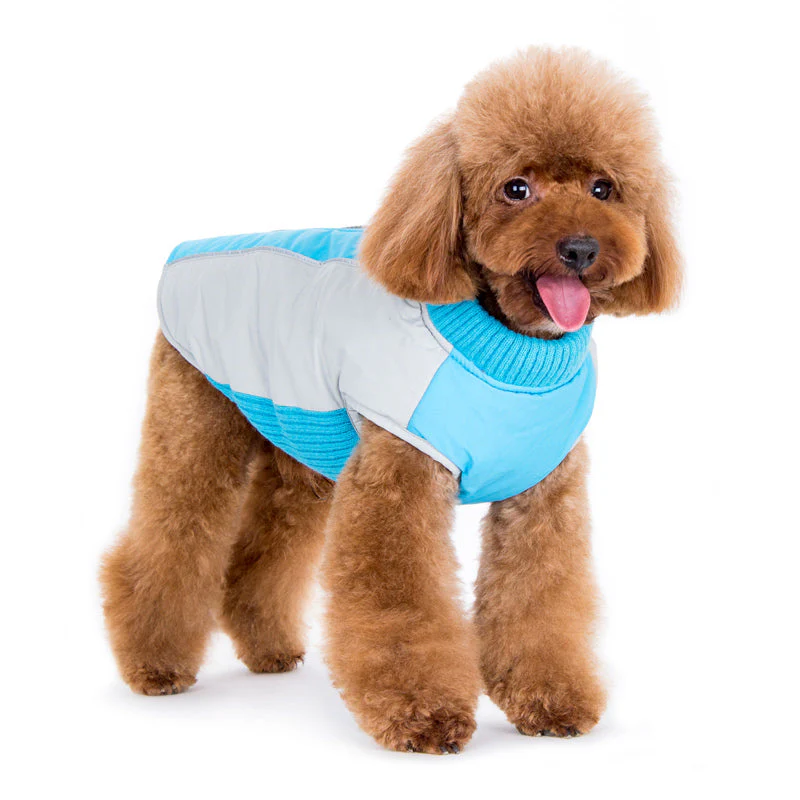 Mountain Hiker Runner Coat - Image 3