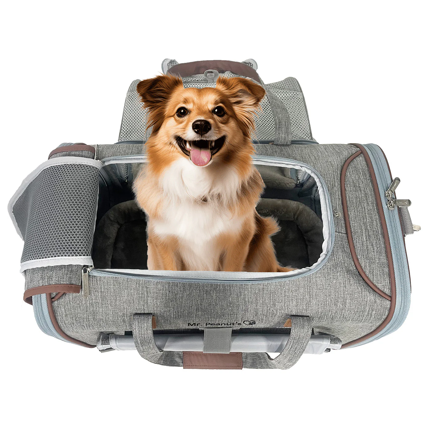 Mr. Peanuts Gold Series Standard Size Airline Compliant Expandable Pet Carrier - Image 21
