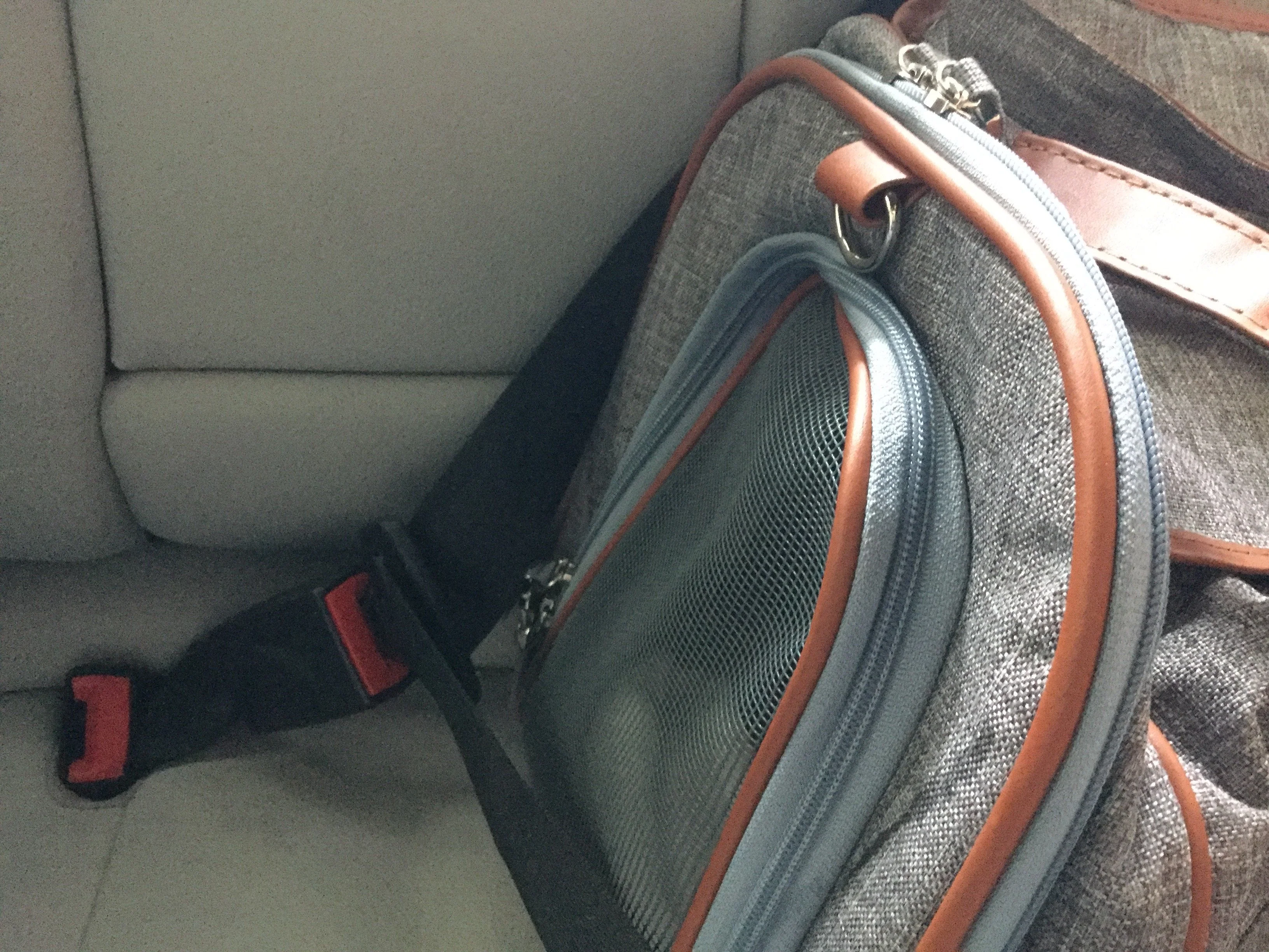Mr. Peanuts Gold Series Standard Size Airline Compliant Pet Carrier - Image 26