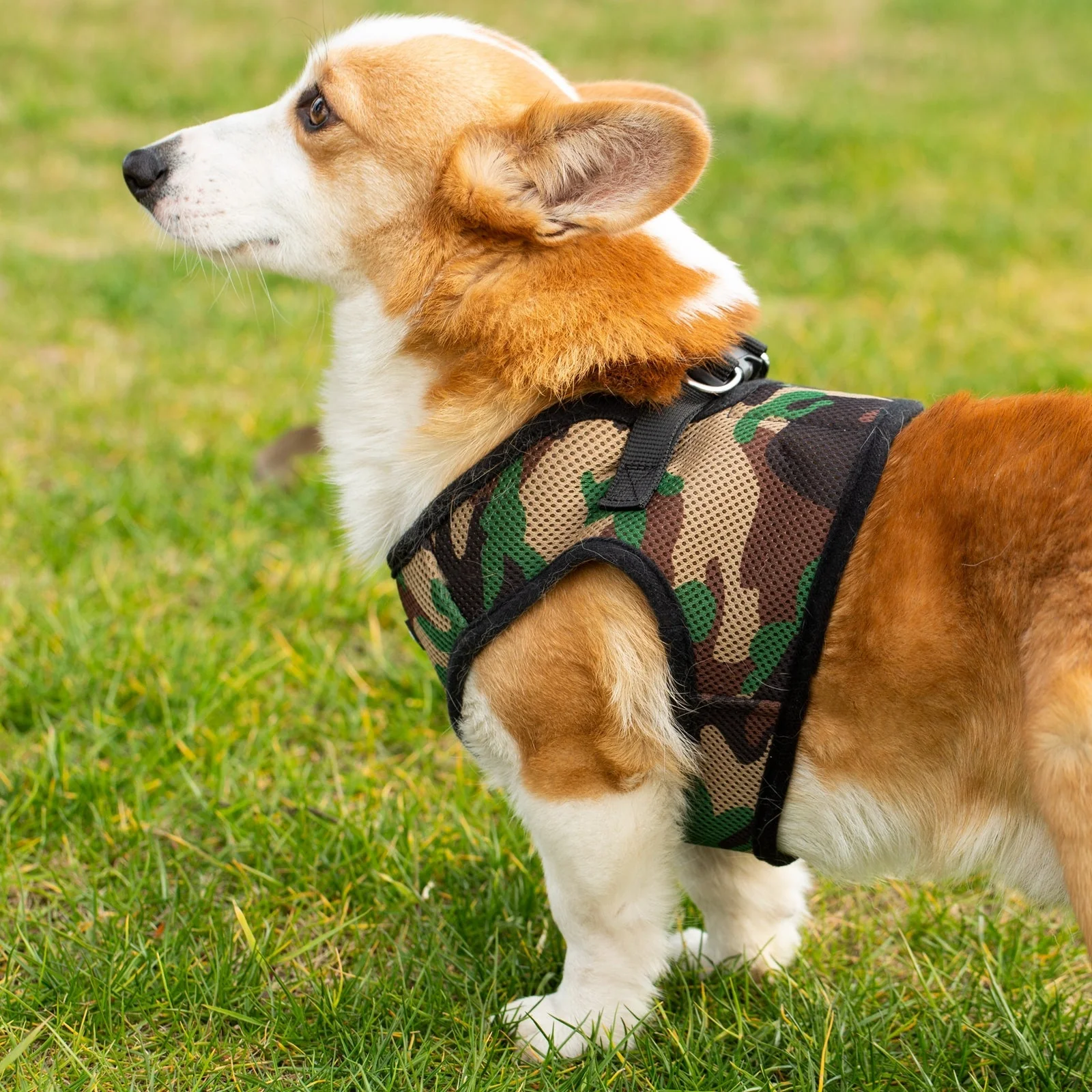 Mr. Peanuts PupTrek Harness and Leash Set, Small Dog/Cat Soft Mesh Step In Harness Vest - Image 23