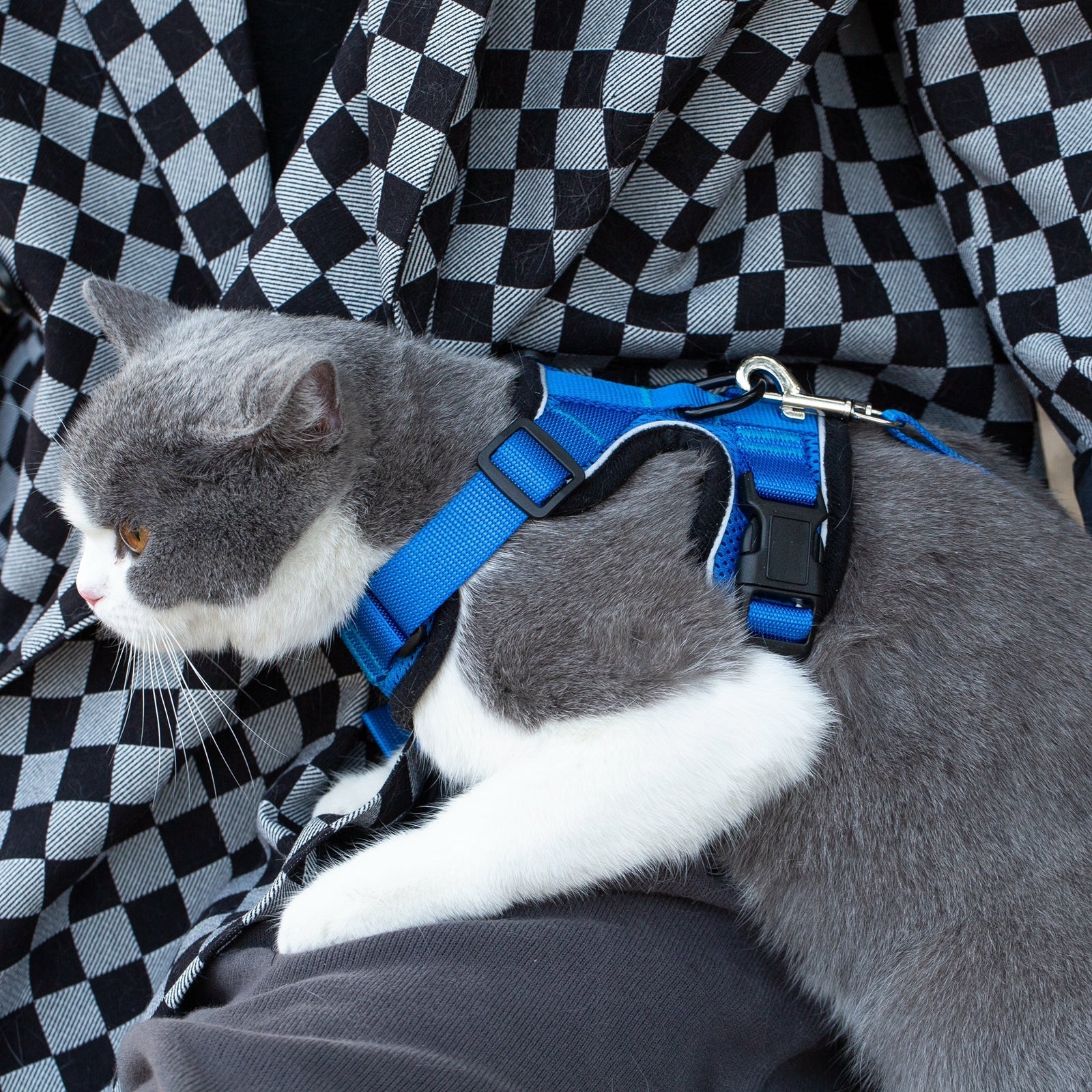 Mr. Peanuts PurrTrek Reflective Cat Harness with Matching Leash - Image 11