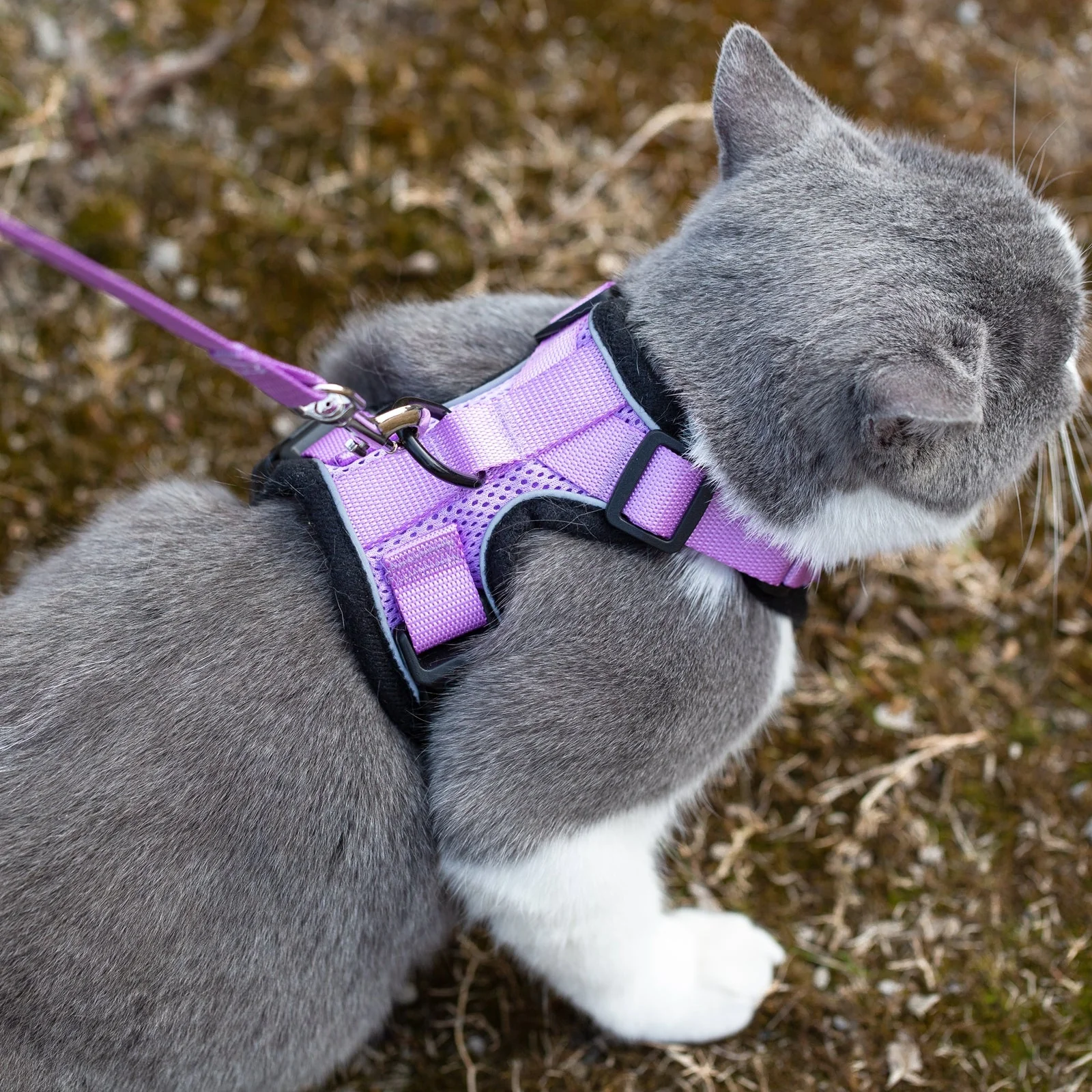 Mr. Peanuts PurrTrek Reflective Cat Harness with Matching Leash - Image 14