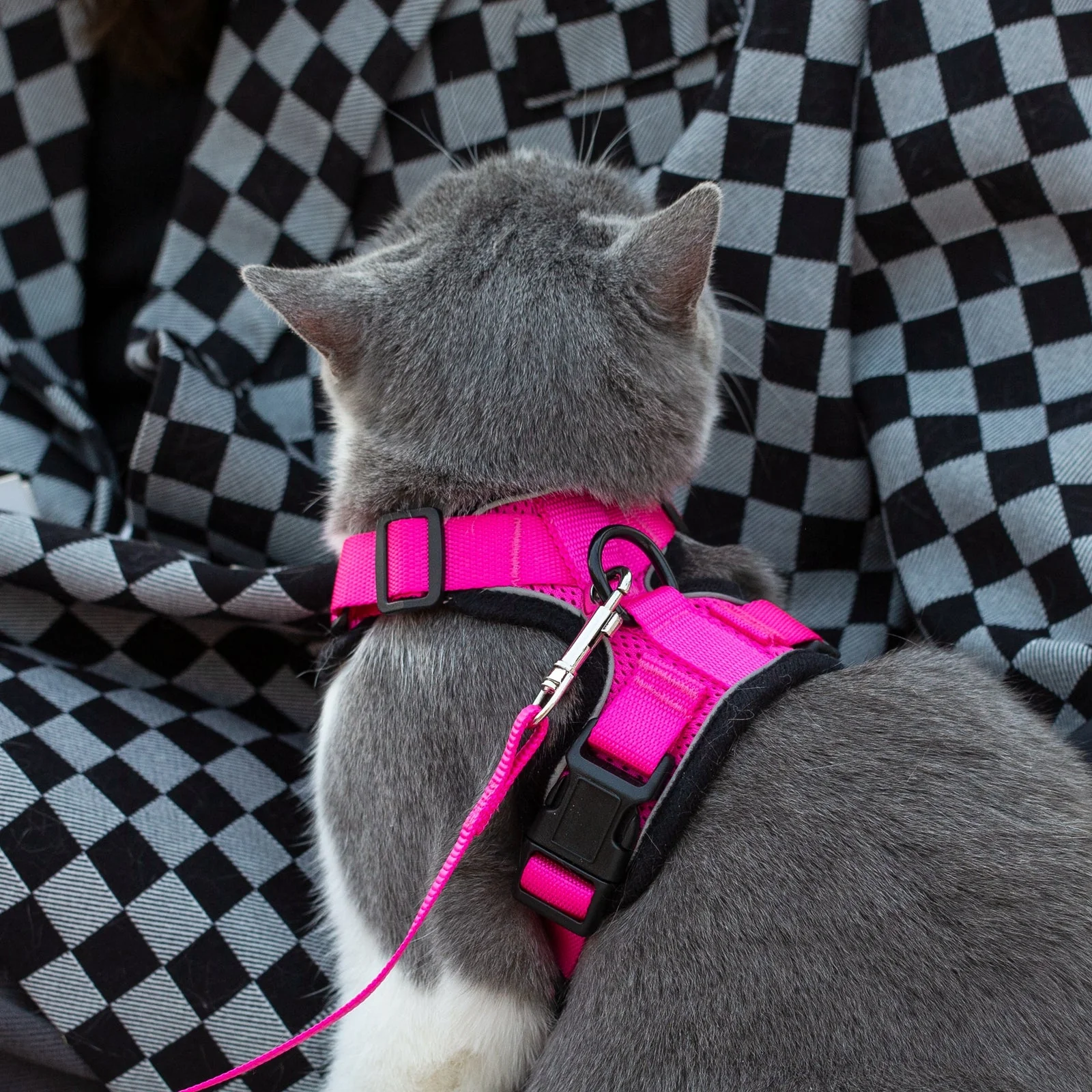 Mr. Peanuts PurrTrek Reflective Cat Harness with Matching Leash - Image 17