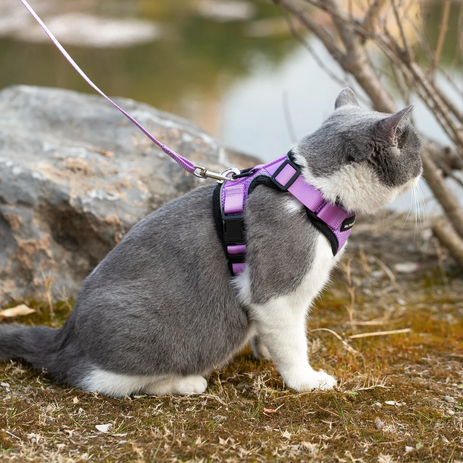 Mr. Peanuts PurrTrek Reflective Cat Harness with Matching Leash - Image 21