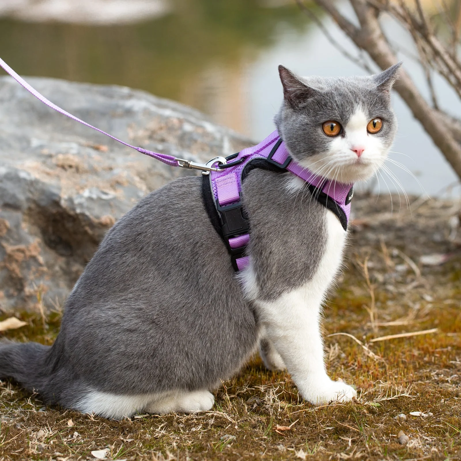 Mr. Peanuts PurrTrek Reflective Cat Harness with Matching Leash - Image 22