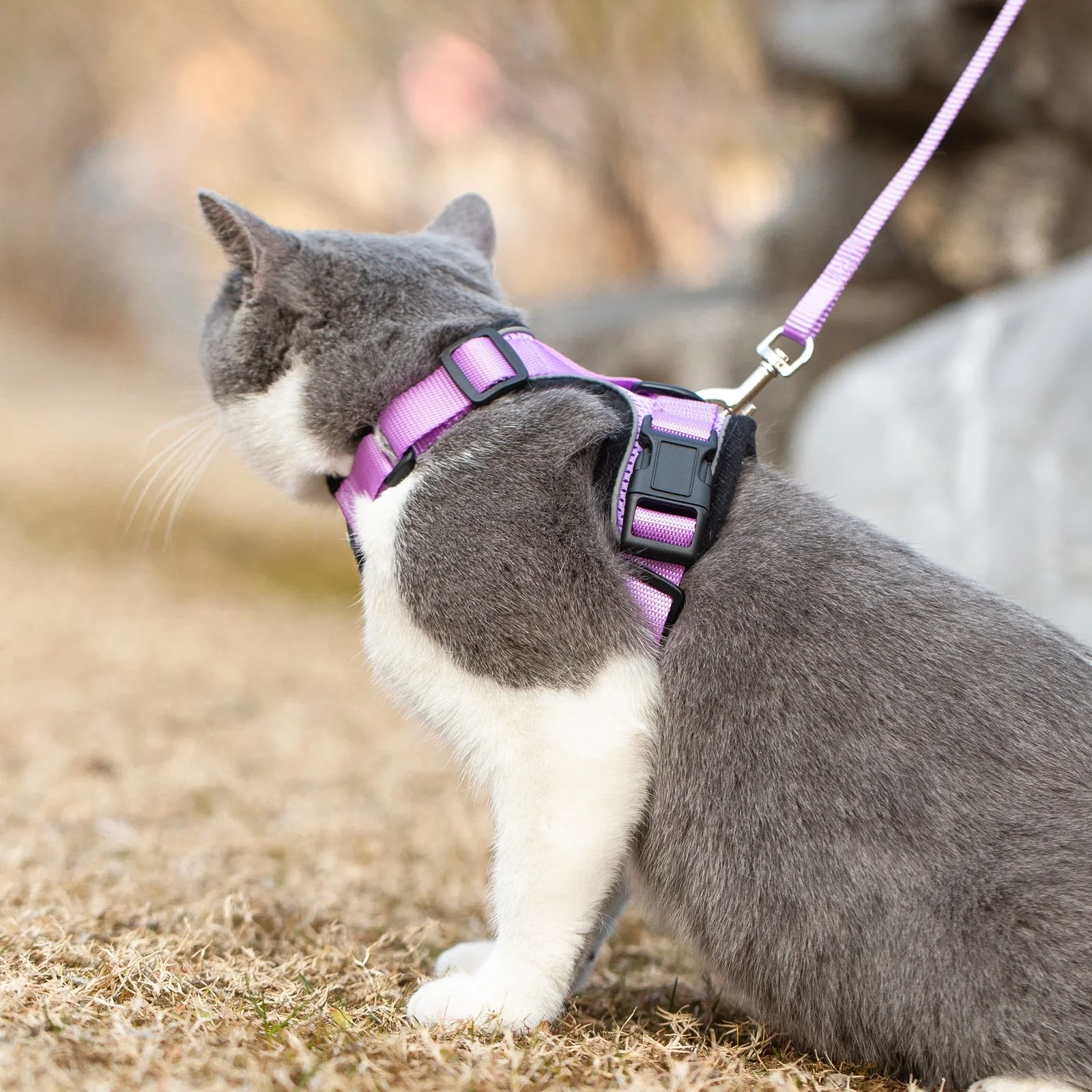 Mr. Peanuts PurrTrek Reflective Cat Harness with Matching Leash - Image 23