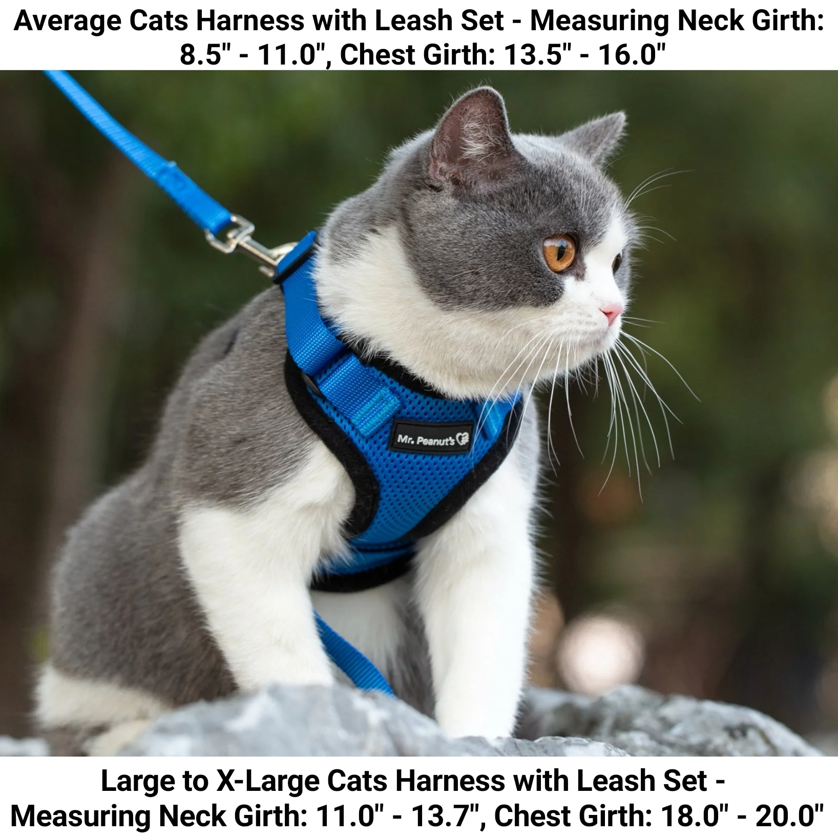 Mr. Peanuts PurrTrek Reflective Cat Harness with Matching Leash - Image 7