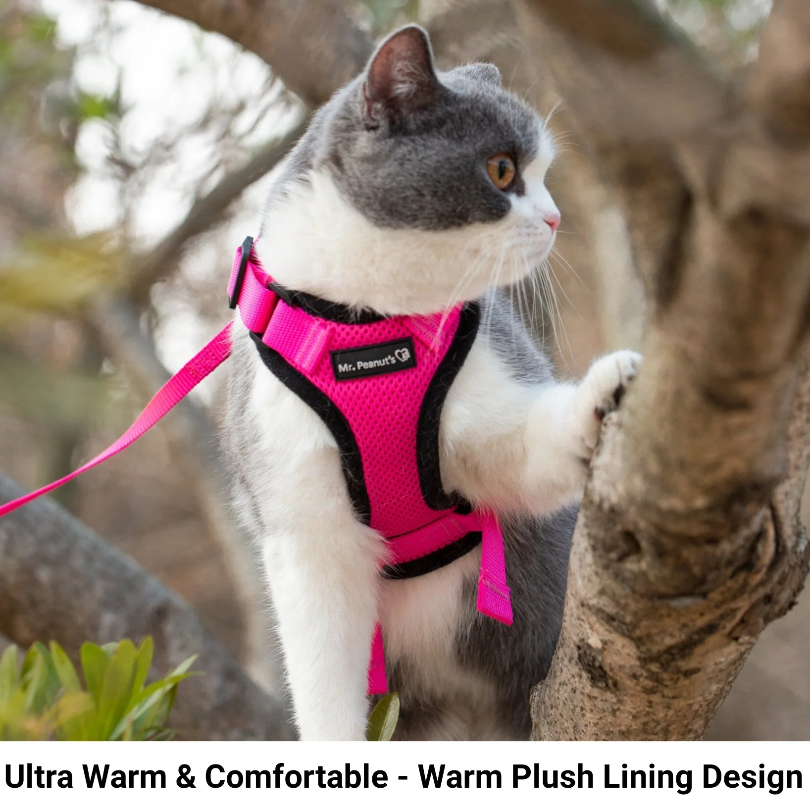 Mr. Peanuts PurrTrek Reflective Cat Harness with Matching Leash - Image 8