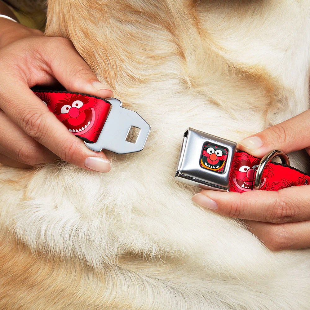 Muppets Animal Face Seatbelt Buckle Dog Collar - Image 8