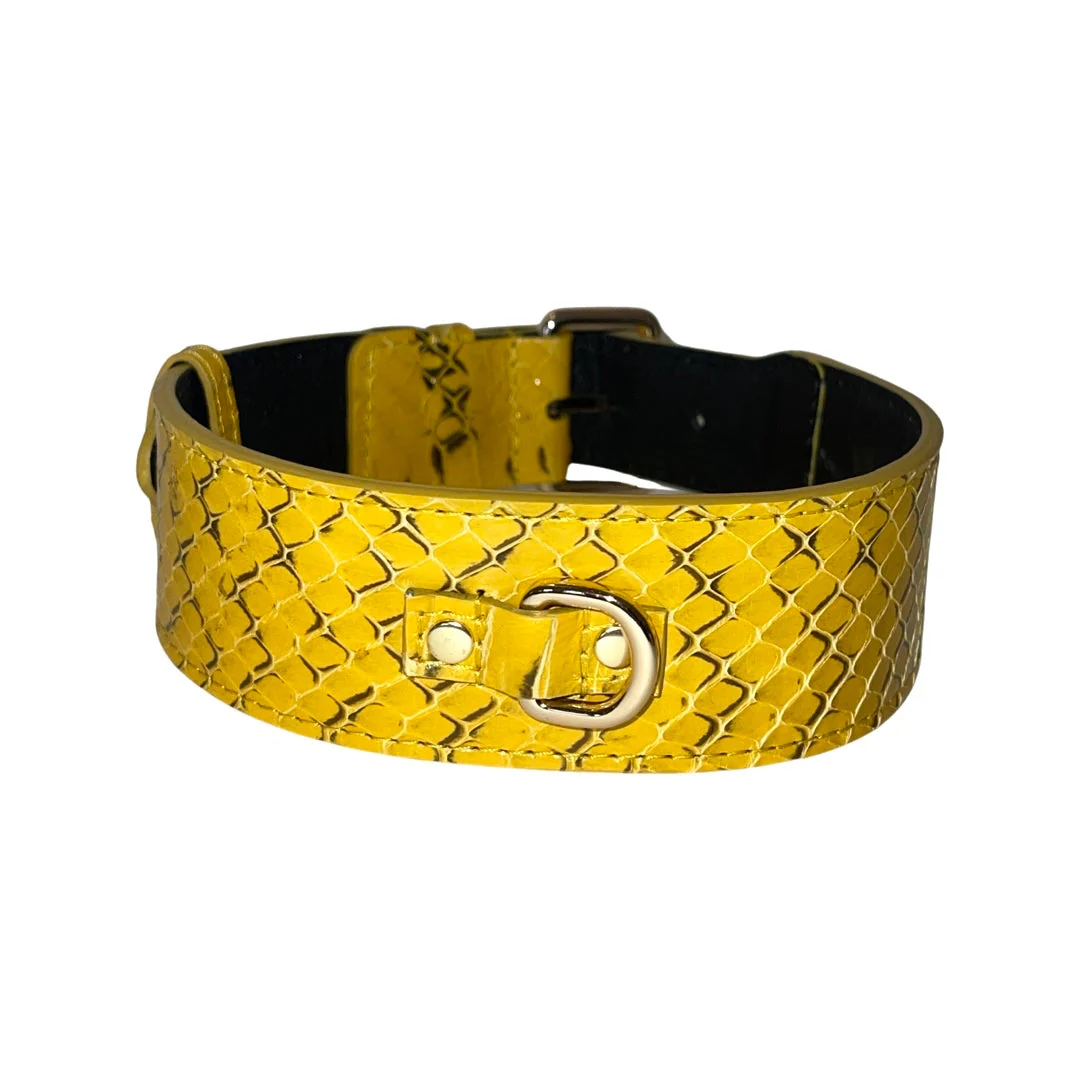 Mustard Yellow & Black Snake Classic Collar - Image 2