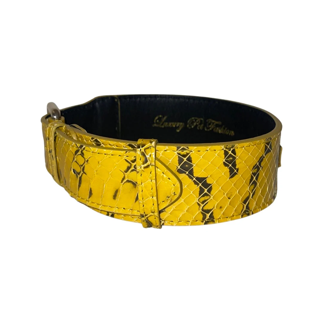 Mustard Yellow & Black Snake Classic Collar - Image 4