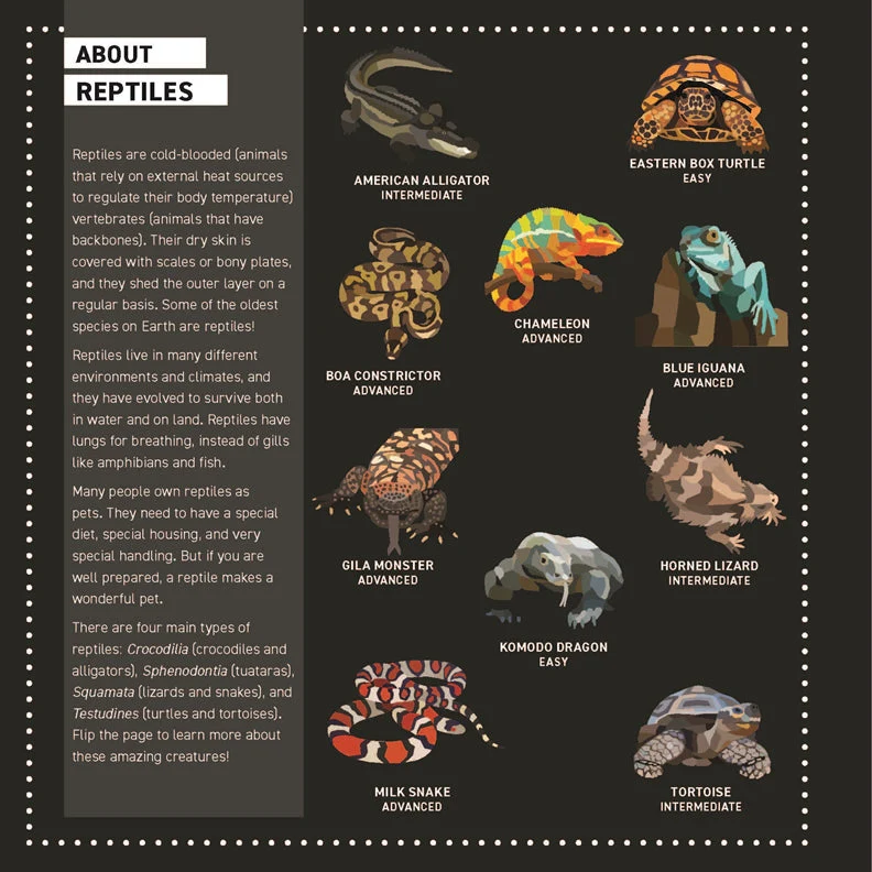 My Sticker Paintings: Reptiles - Image 2
