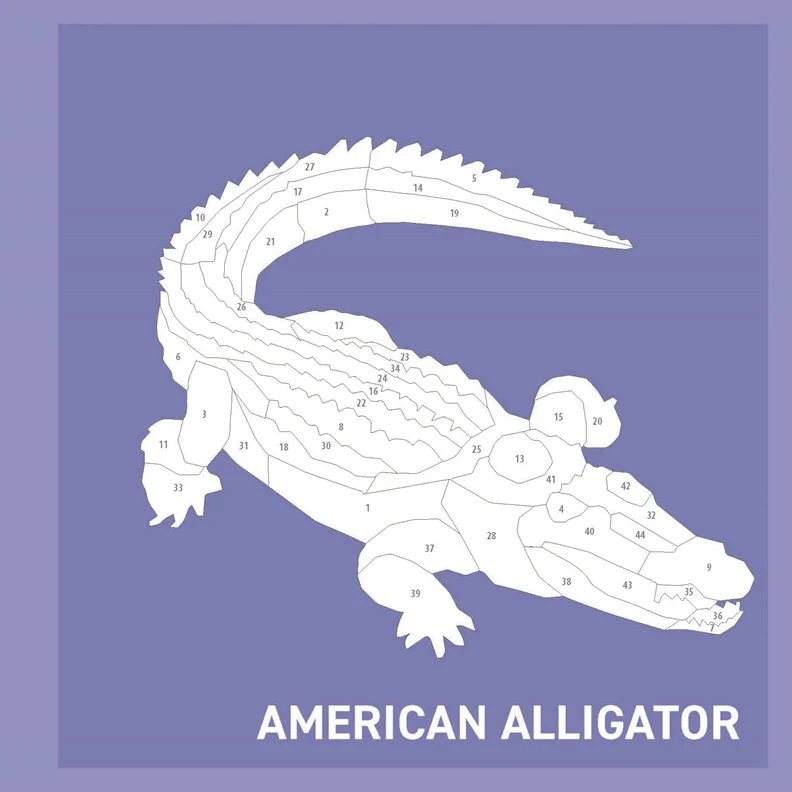 My Sticker Paintings: Reptiles - Image 3