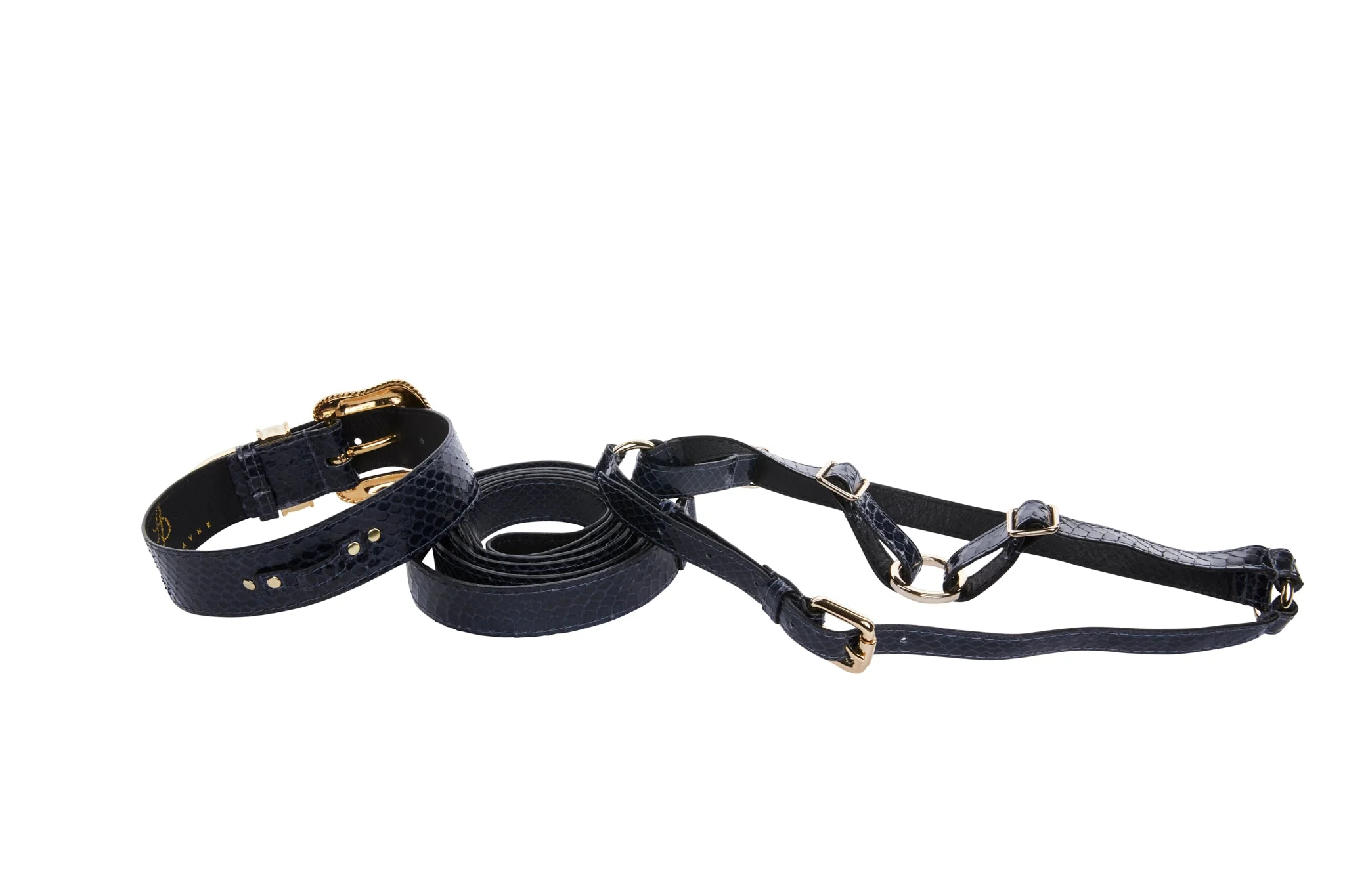 Navy Blue Snake Swarovski Crystal Hardware Collar, Leash, & Harness Set - Image 3
