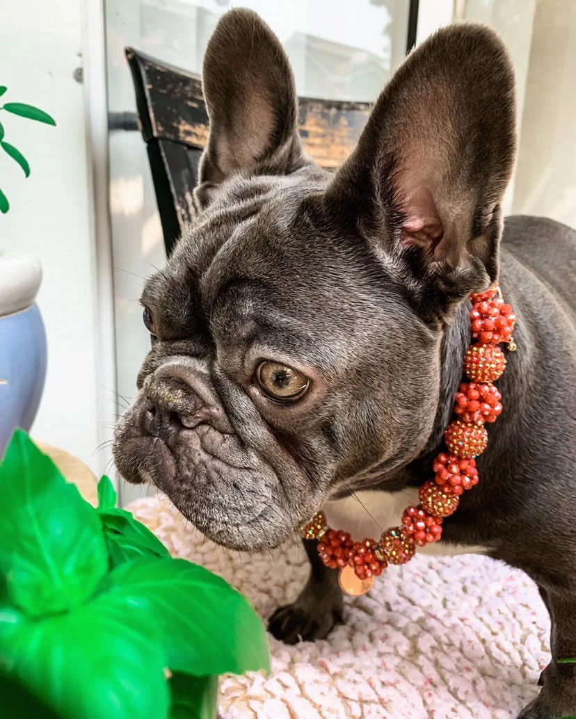Necklace: Pumpkin Spice - Image 2