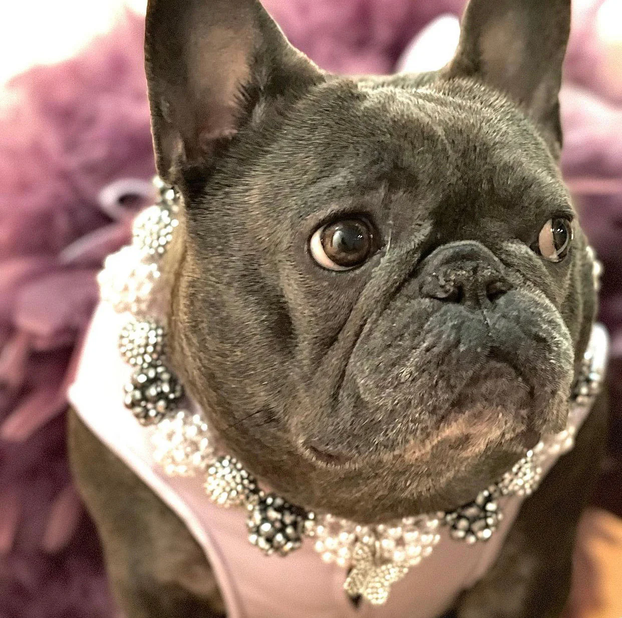 Necklace: The IZZY - Image 2