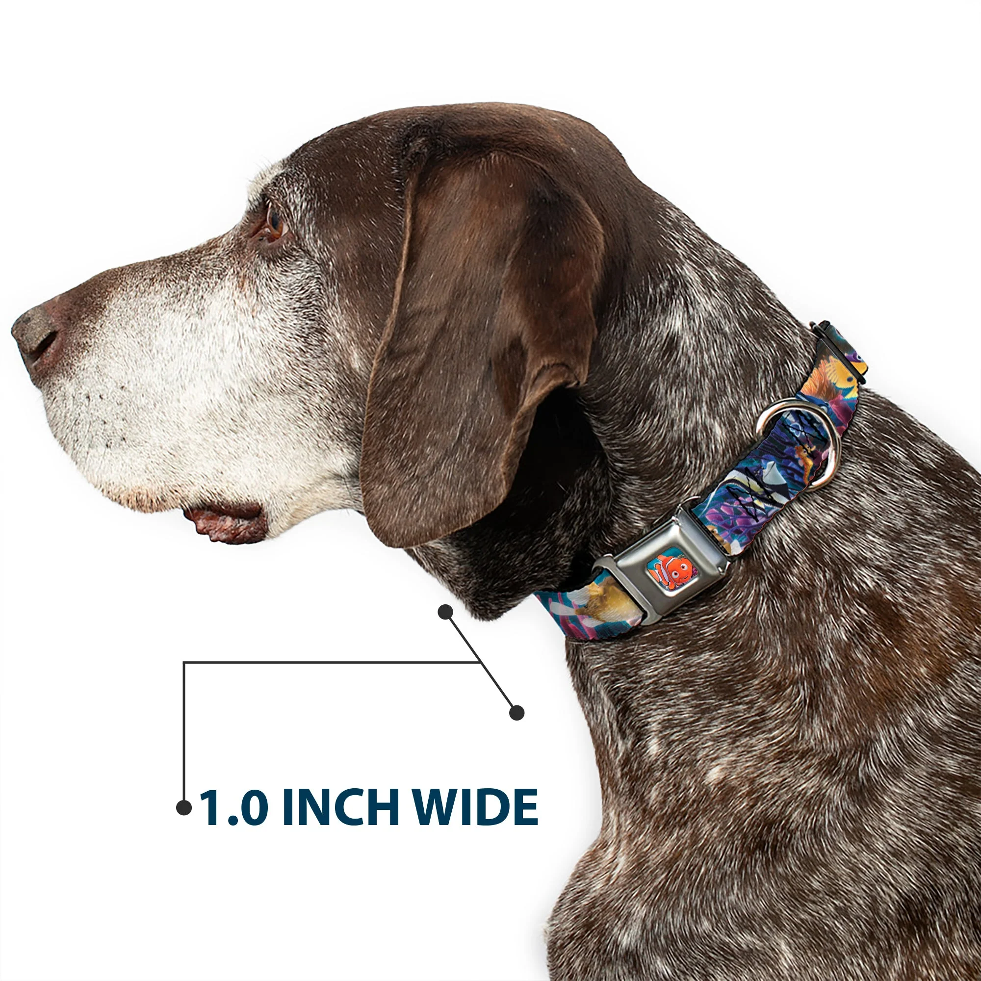 Nemo Smiling Full Color Seatbelt Buckle Collar - Nemo & Friends Group - Image 6