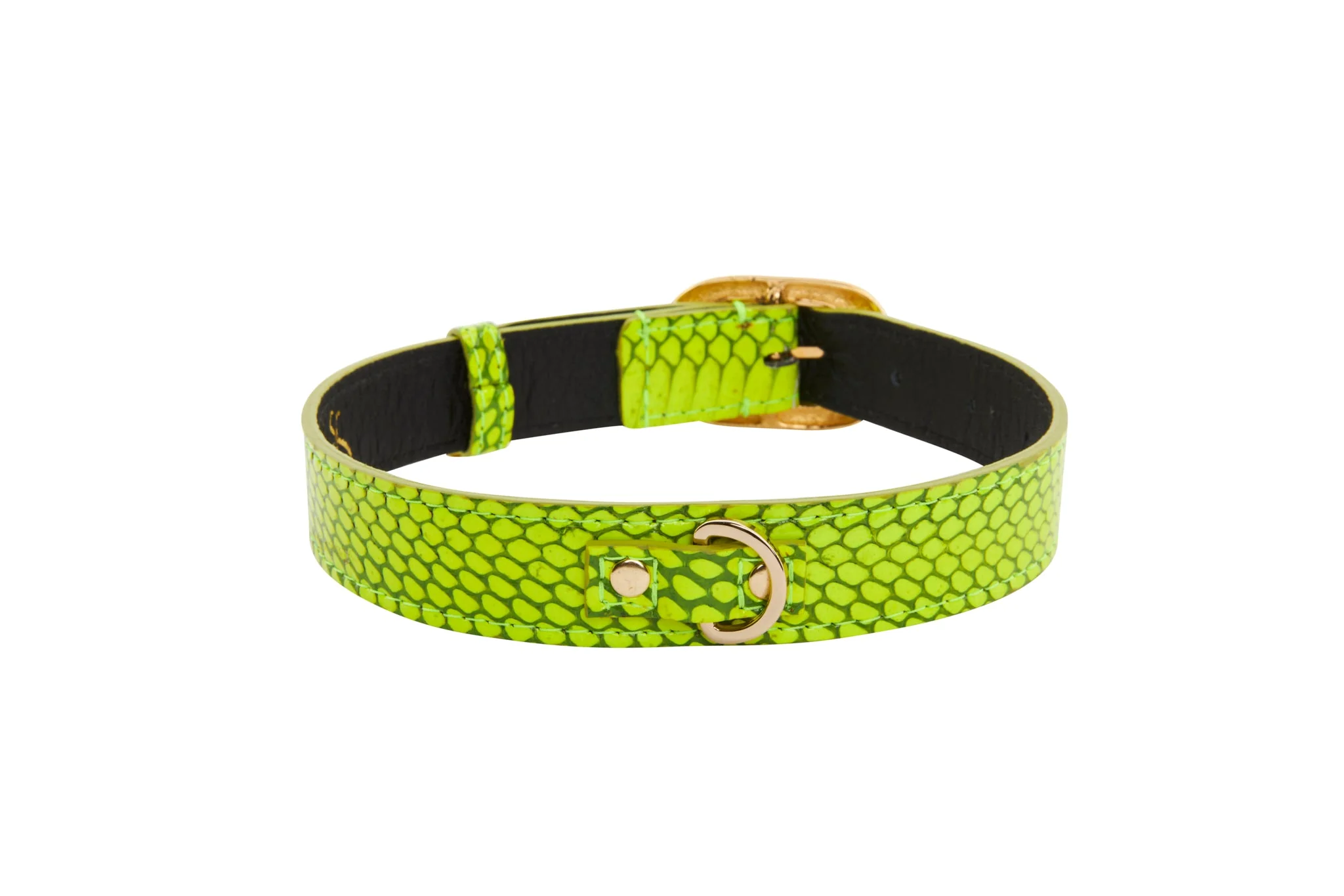 Neon Green Snake/Vintage Black & Gold Italian HardwareCollar - Image 2