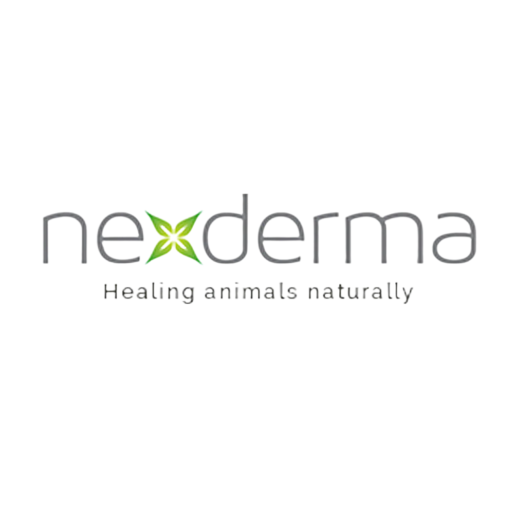 Unscented Deep Moisturizing Shampoo Gallon by Nexderma - Image 2