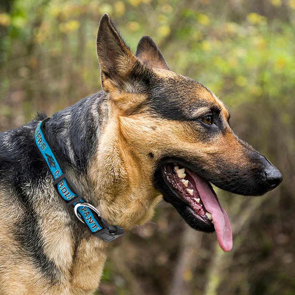 NFL Carolina Panthers Dog Collar - Image 3