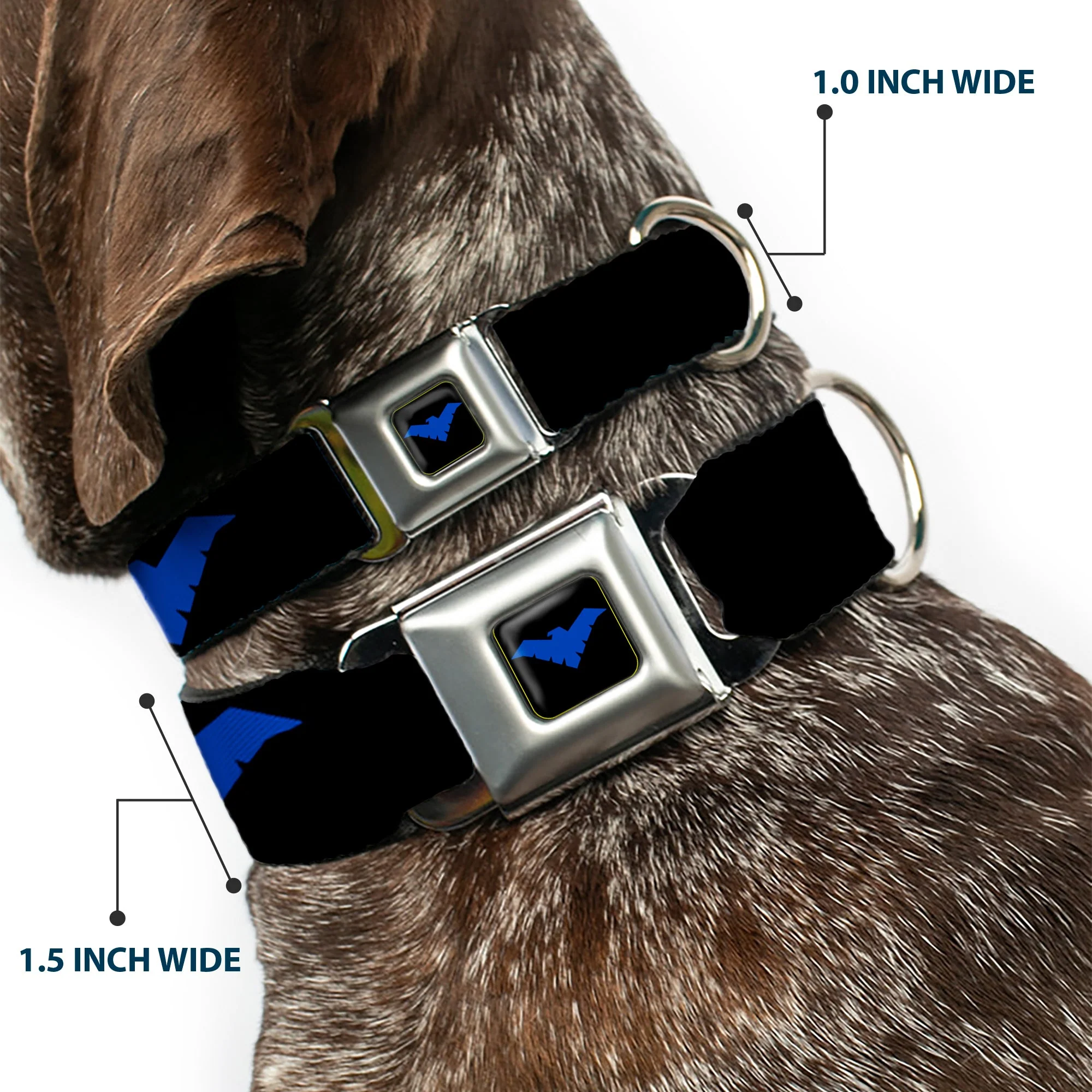 Nightwing Logo Full Color Black Blue Seatbelt Buckle Collar - Nightwing Logo Black/Blue - Image 2
