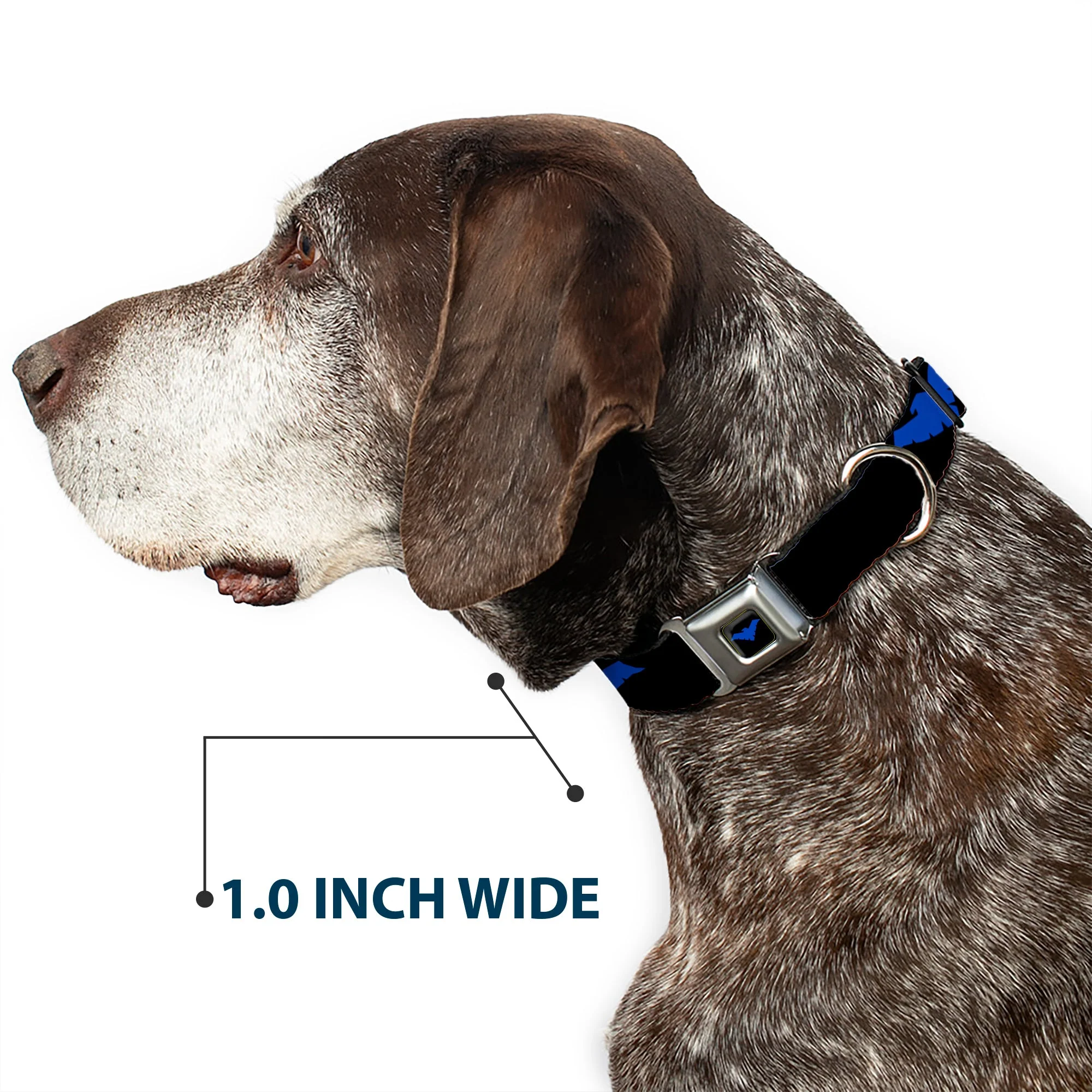 Nightwing Logo Full Color Black Blue Seatbelt Buckle Collar - Nightwing Logo Black/Blue - Image 6