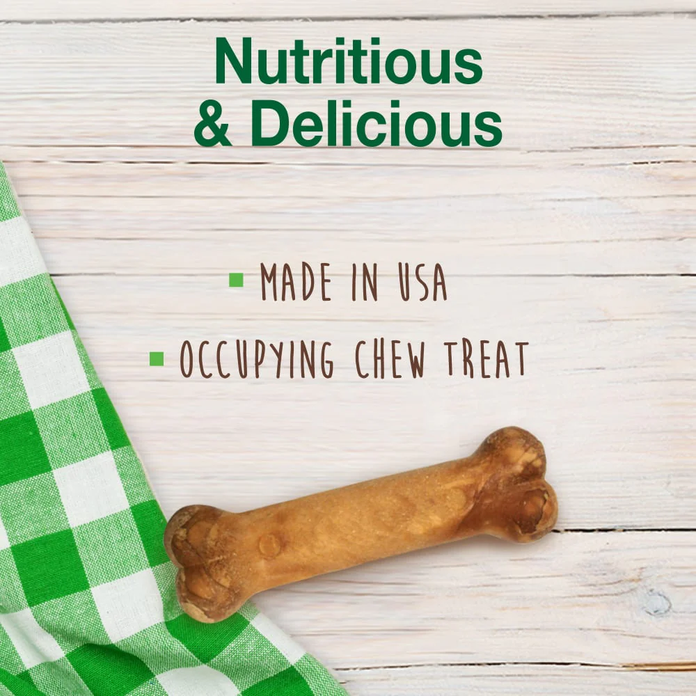 Nylabone Healthy Edibles All-Natural Long Lasting Bacon Chew Treats (6.7oz) - Image 3