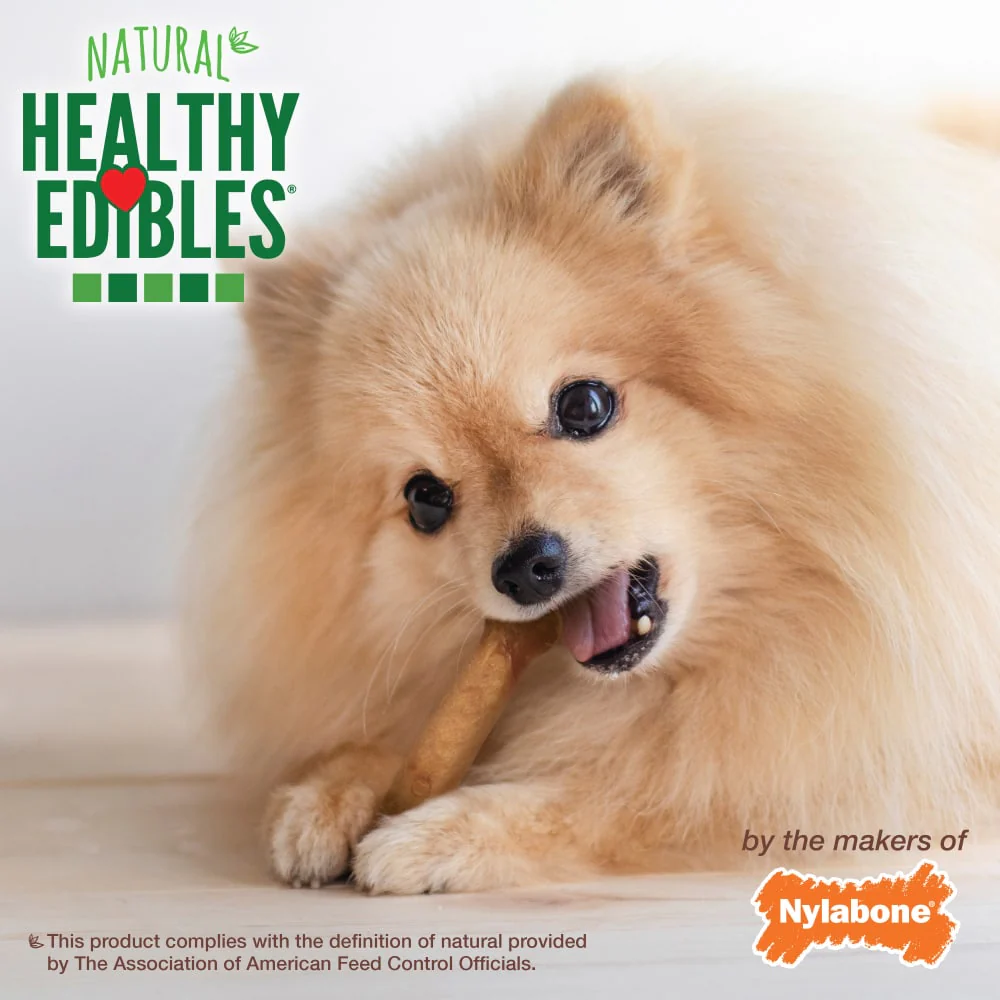 Nylabone Healthy Edibles All-Natural Long Lasting Roast Beef Dog Chew Treats (3pk) (1.5oz) - Image 6