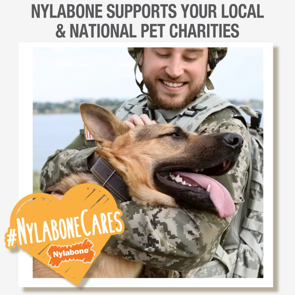 Nylabone Healthy Edibles Chicken Dog Chew Treats (6.7oz) - Image 7