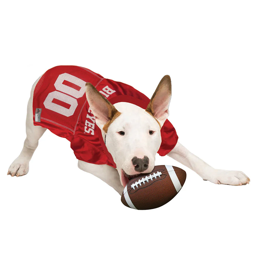 Ohio State Buckeyes Dog Jersey - Image 3
