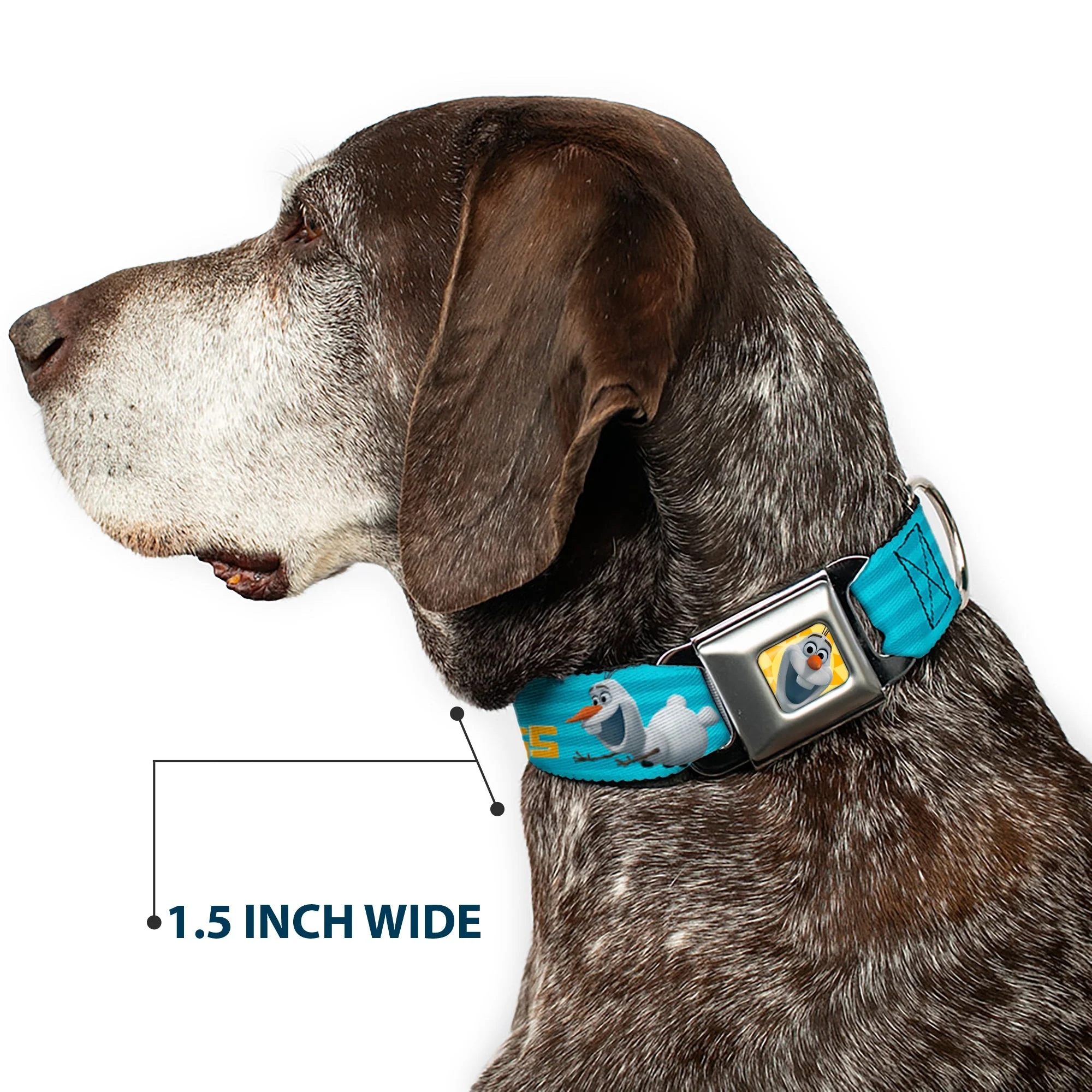 Olaf Face Frozen Sun Full Color Seatbelt Buckle Collar - Olaf Pose I LOVE WARM HUGS Stripe Blues - Image 7