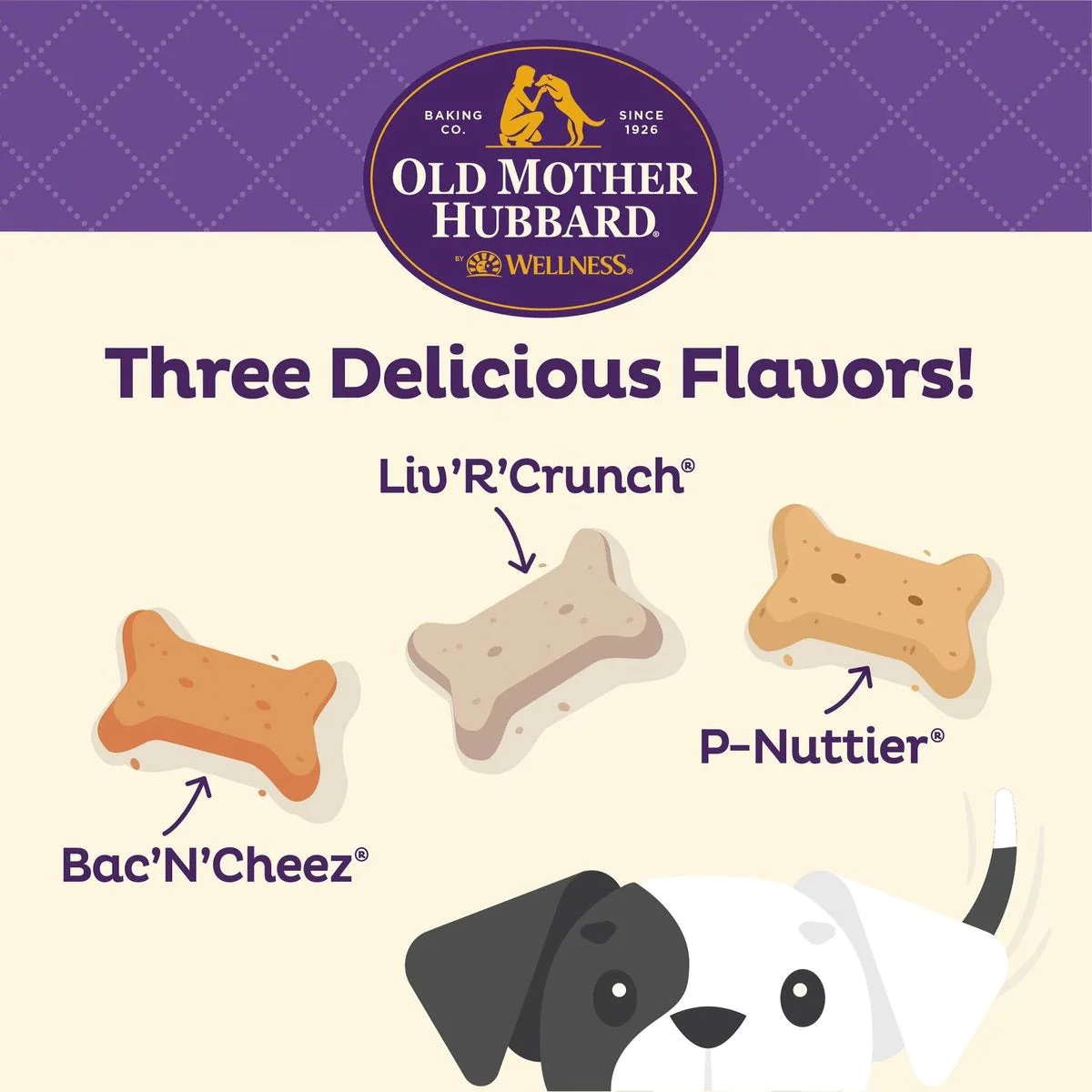 Old Mother Hubbard Savory Mix Assortment Mini Crunchy Dog Treats (20oz) - Image 3