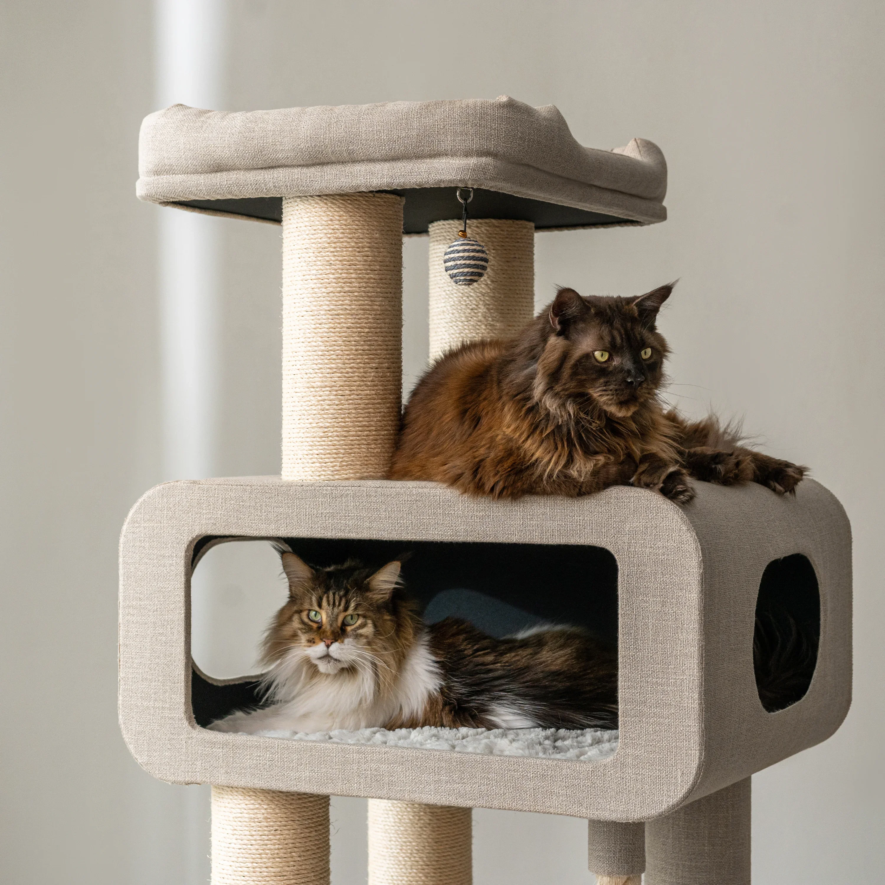 Ontario Grand Luxe Cat Tree – Built for Large Breeds - Image 4