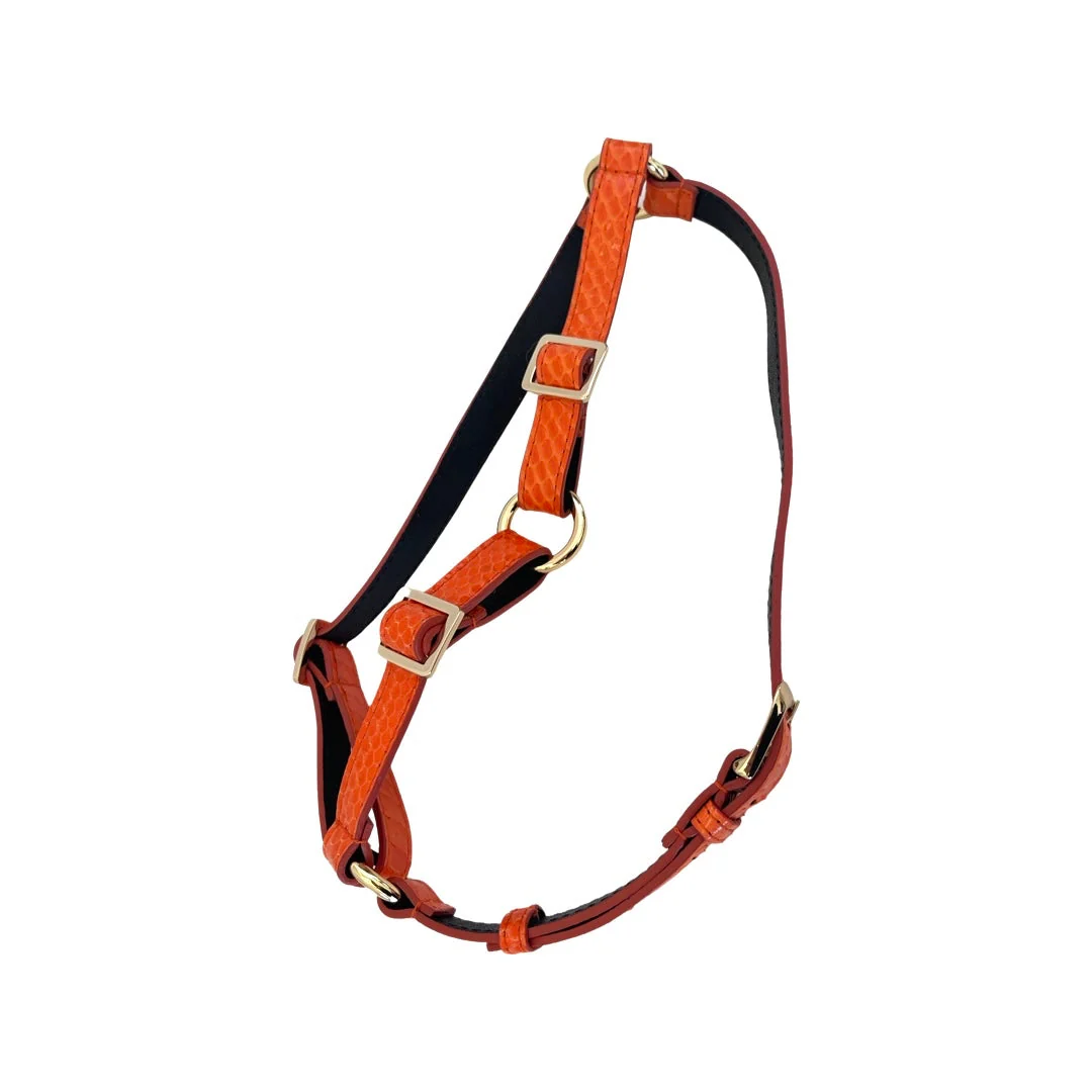 Orange Snake Harness - Image 2