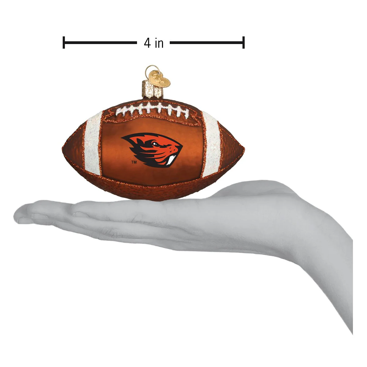 Oregon State Football - Image 4