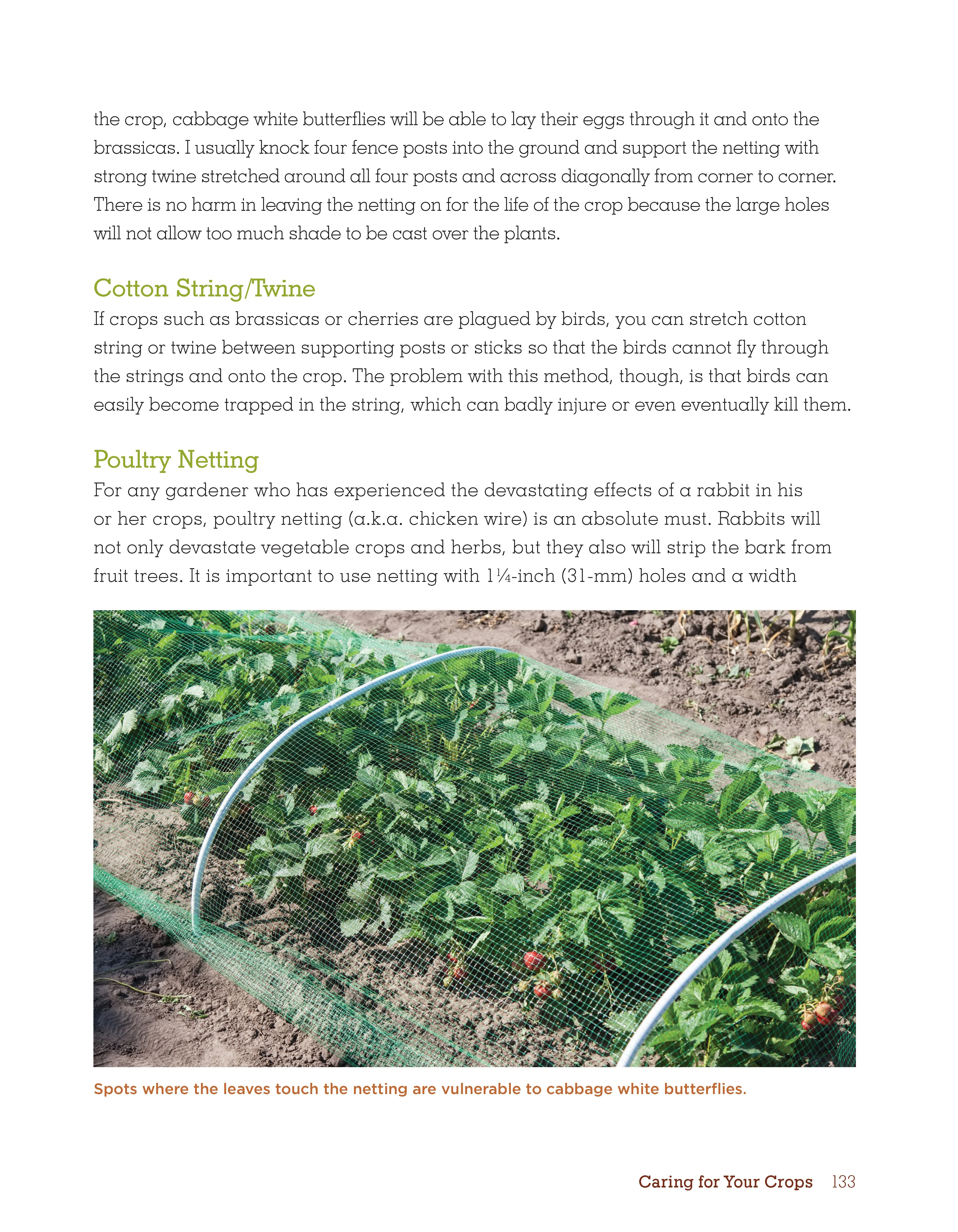Organic Gardening Techniques - Image 3